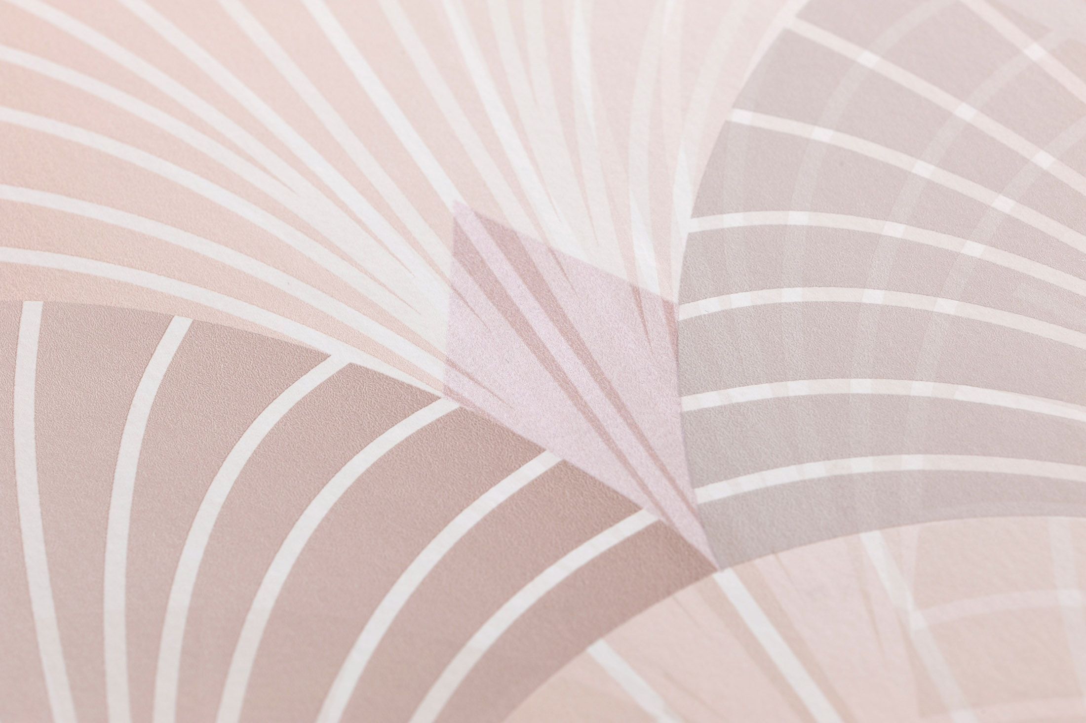 2200x1464 Wallpaper Sabia rosewood. Wallpaper