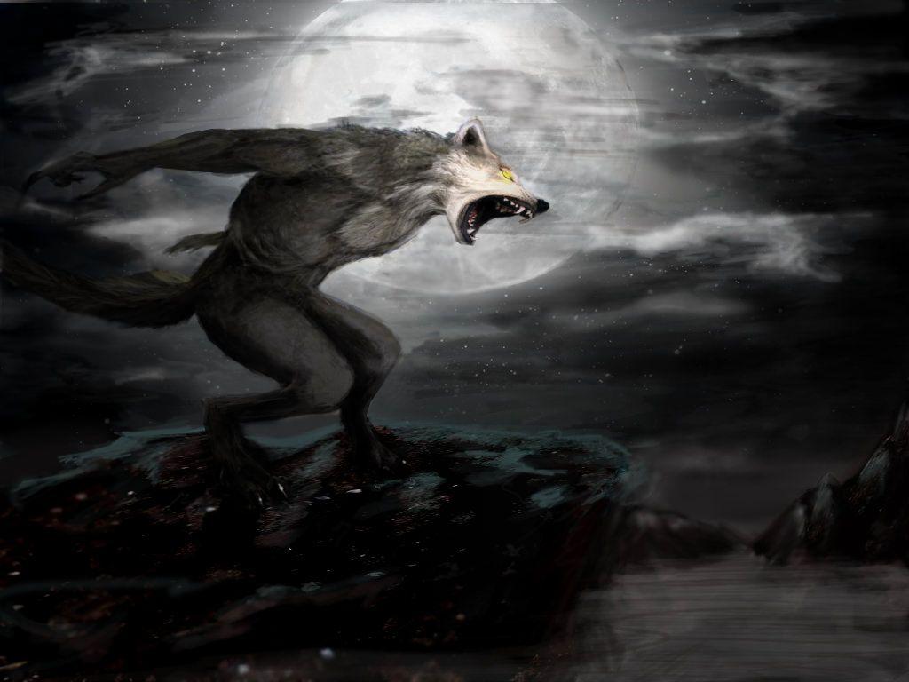 1024x768 Dark Werewolf Wallpaper HD