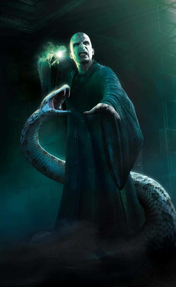 735x1200 Download Nagini, the Loyal Serpent of Lord Voldemort in Harry Potter Wallpaper