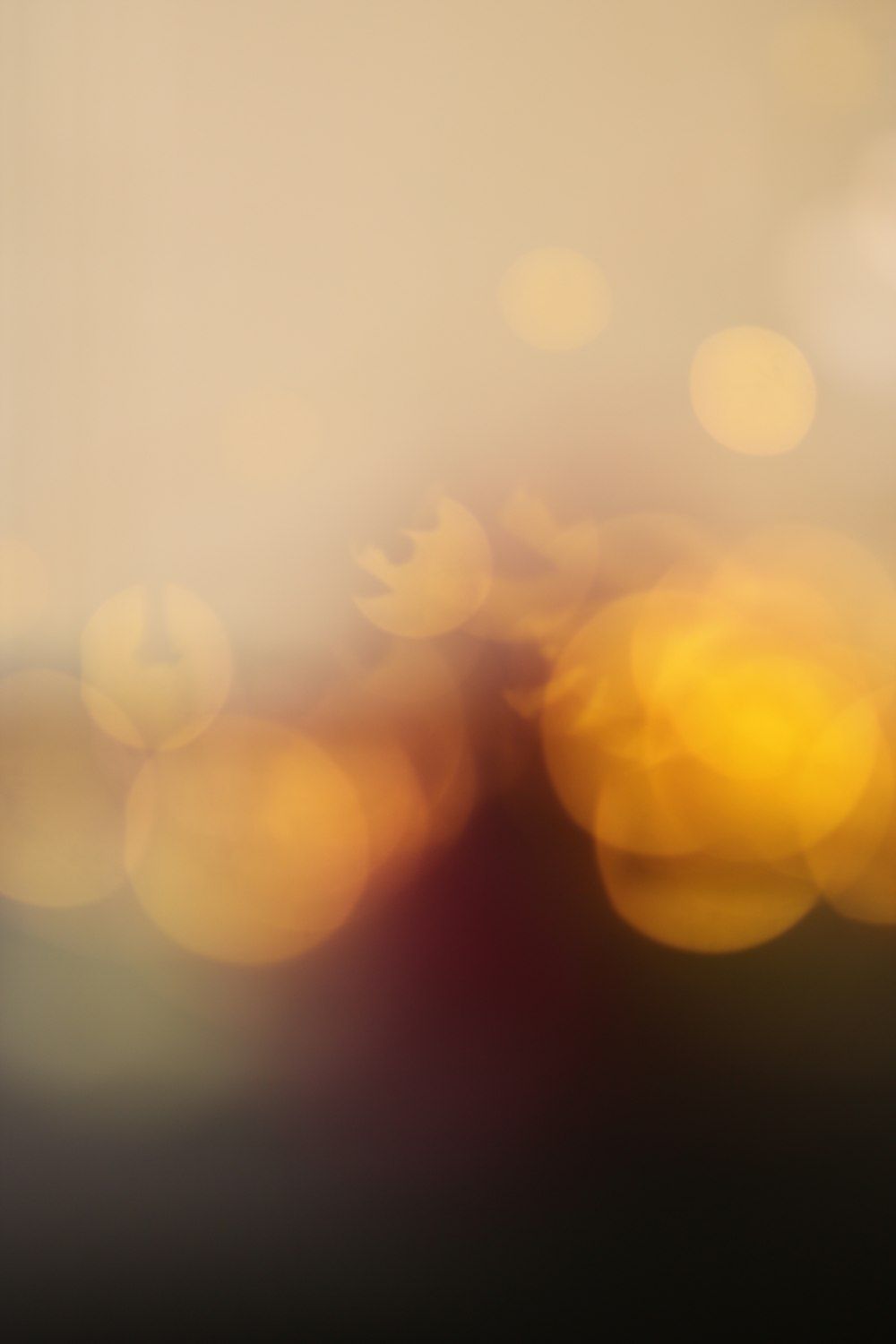 1000x1500 Light Leak Picture HD