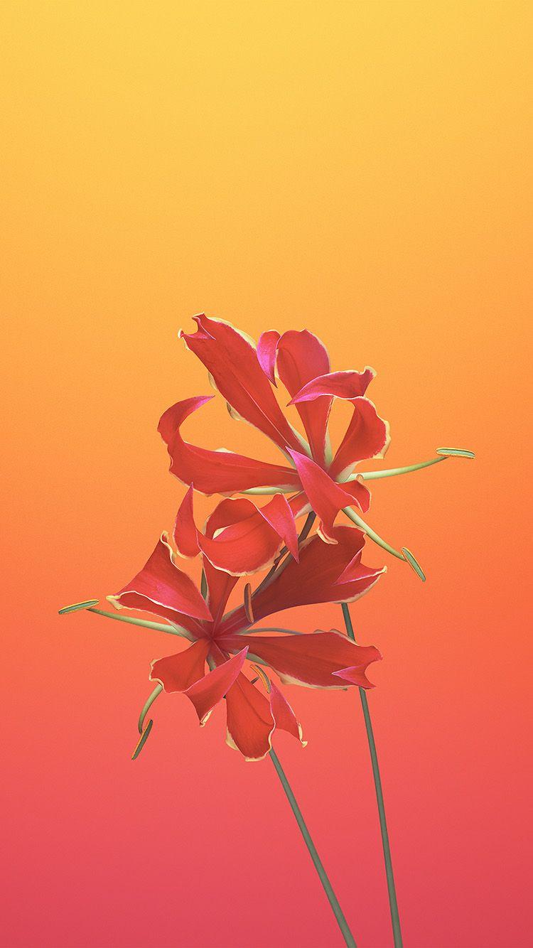 750x1334 FreeiOS8.com. iPhone wallpaper. apple ios11 iphonex