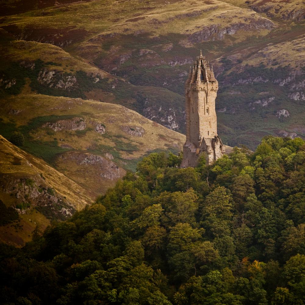 1000x1000 William Wallace on