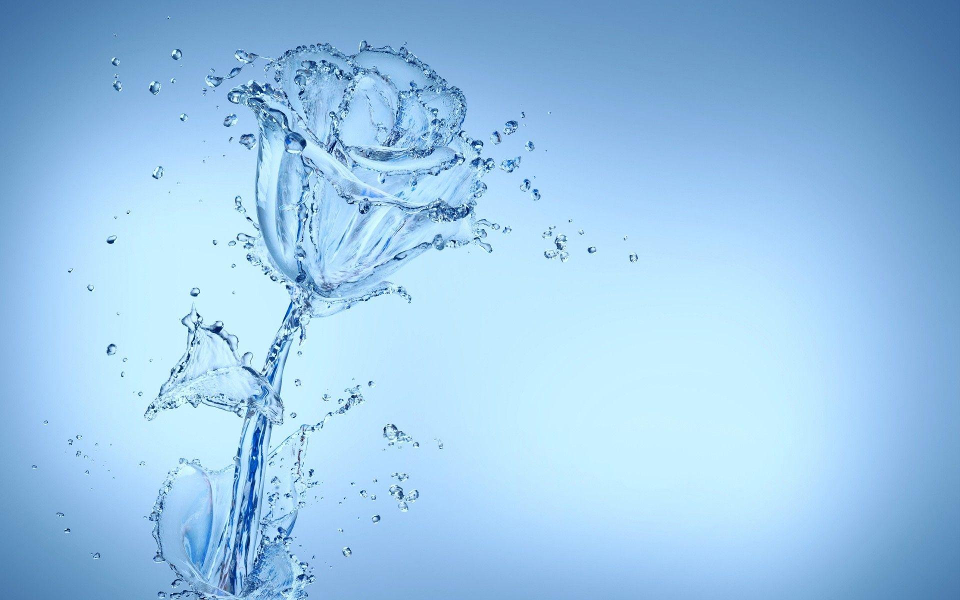 Water Flower Wallpapers Top Free Water Flower Backgrounds Wallpaperaccess
