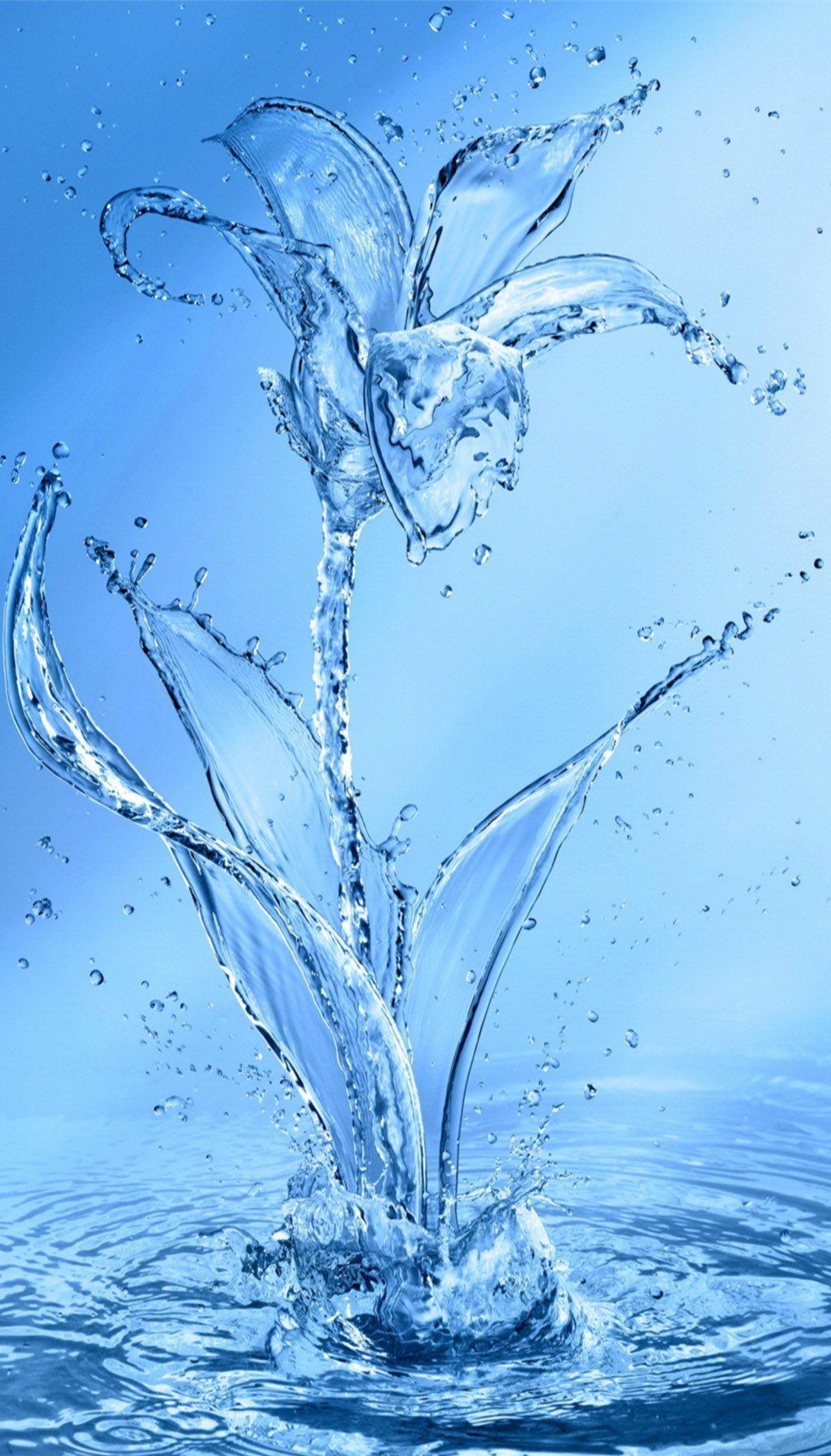 Water Flower Wallpapers Top Free Water Flower Backgrounds