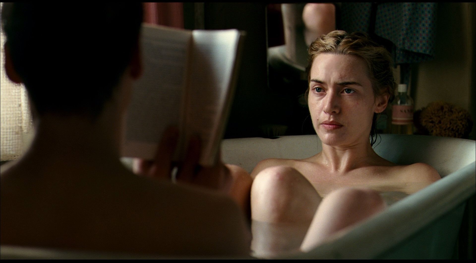 1920x1062 photo: The Reader, Library, Read