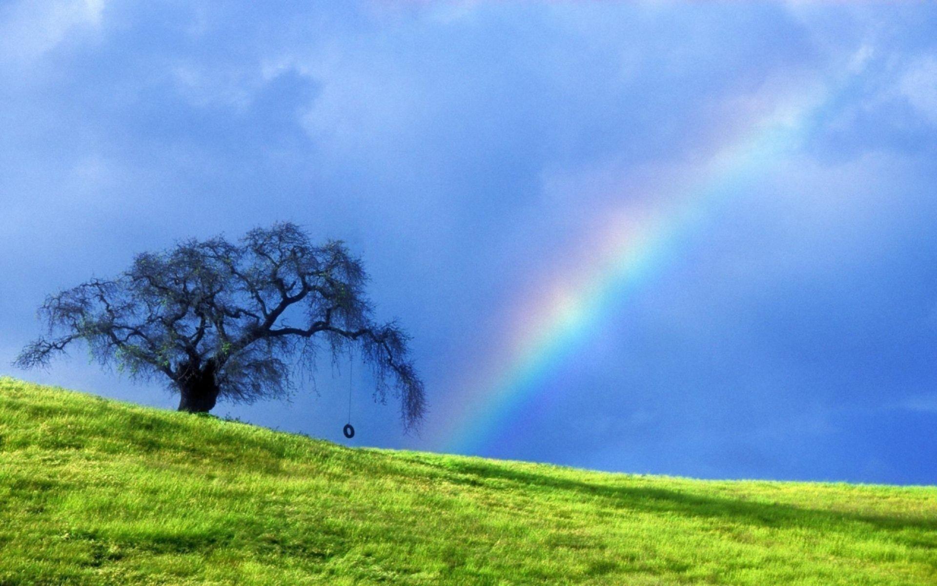 Natural Rainbow Wallpapers - Top Free Natural Rainbow Backgrounds