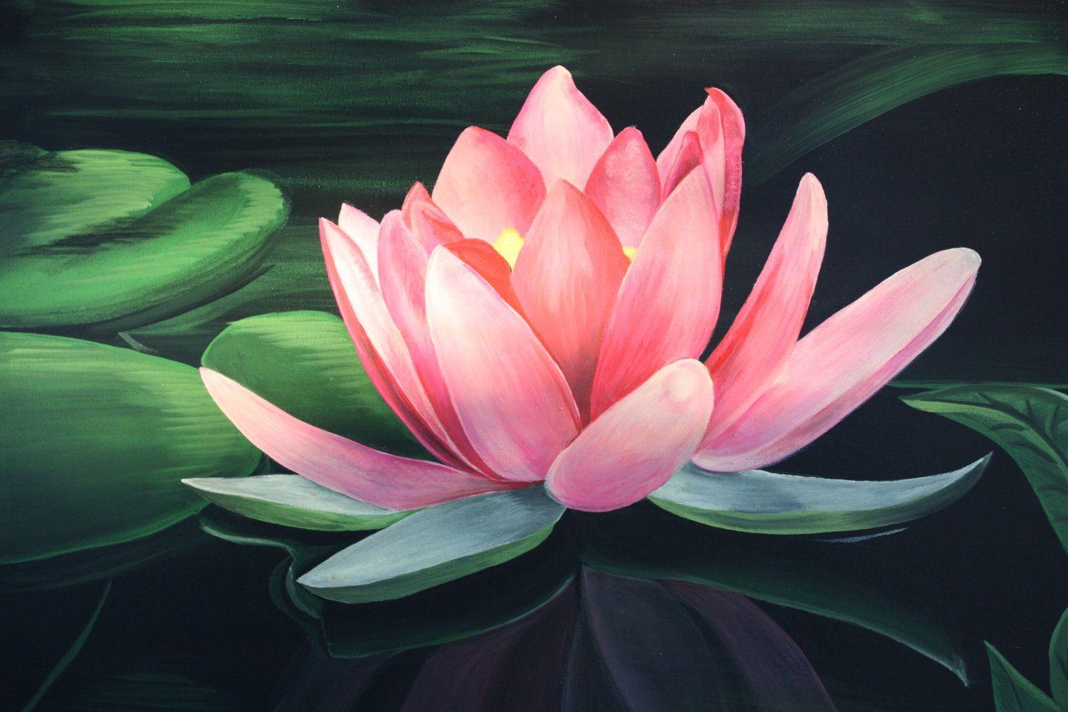 Lotus Flower Drawing Wallpaper