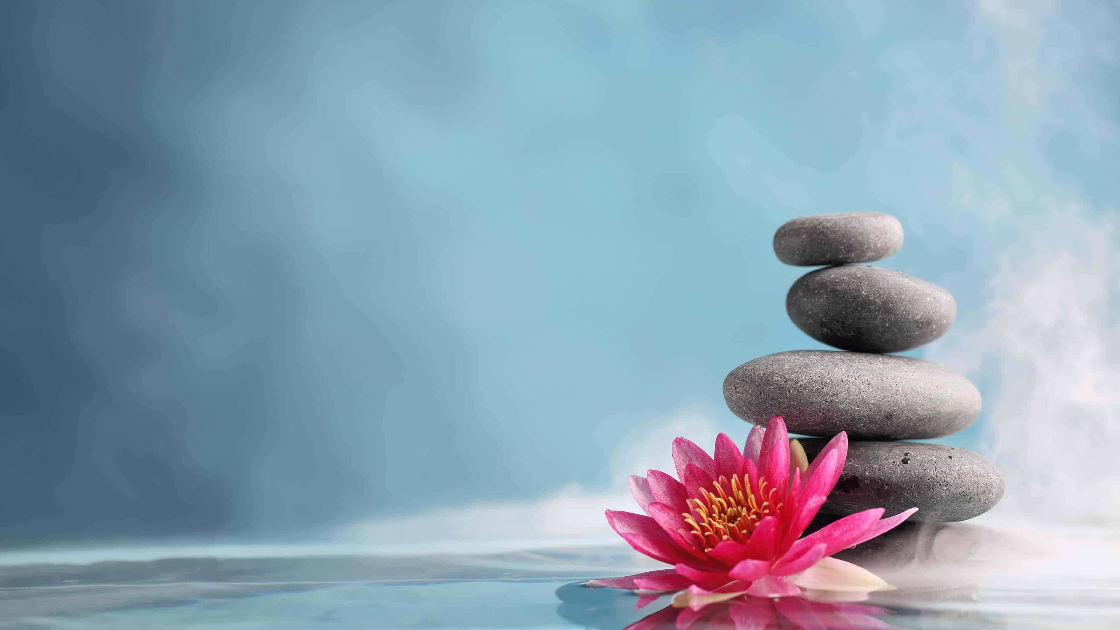 Zen Lotus HD Wallpapers - Top Free Zen Lotus HD Backgrounds ...