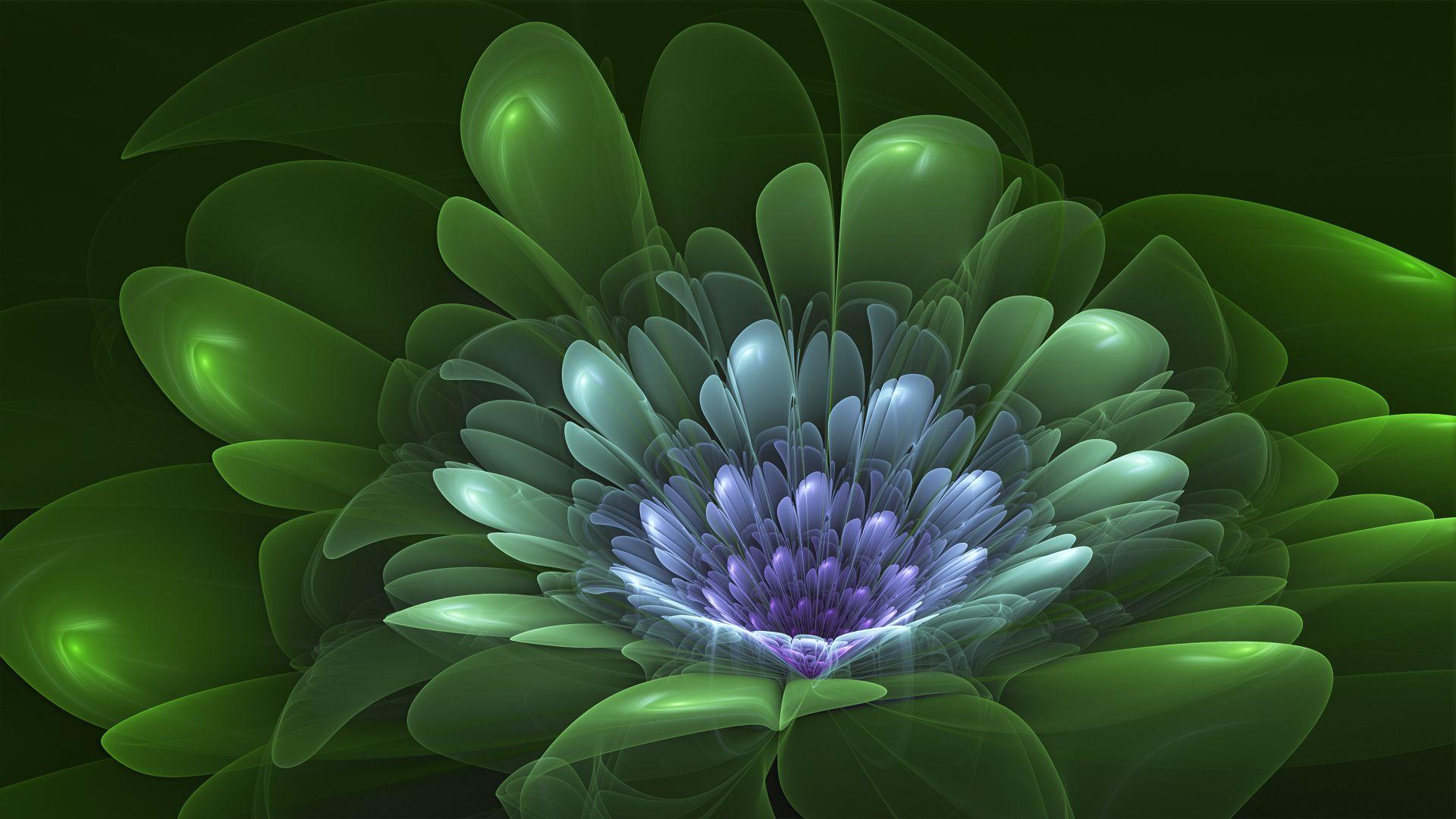 1920x1080 Lotus Flower