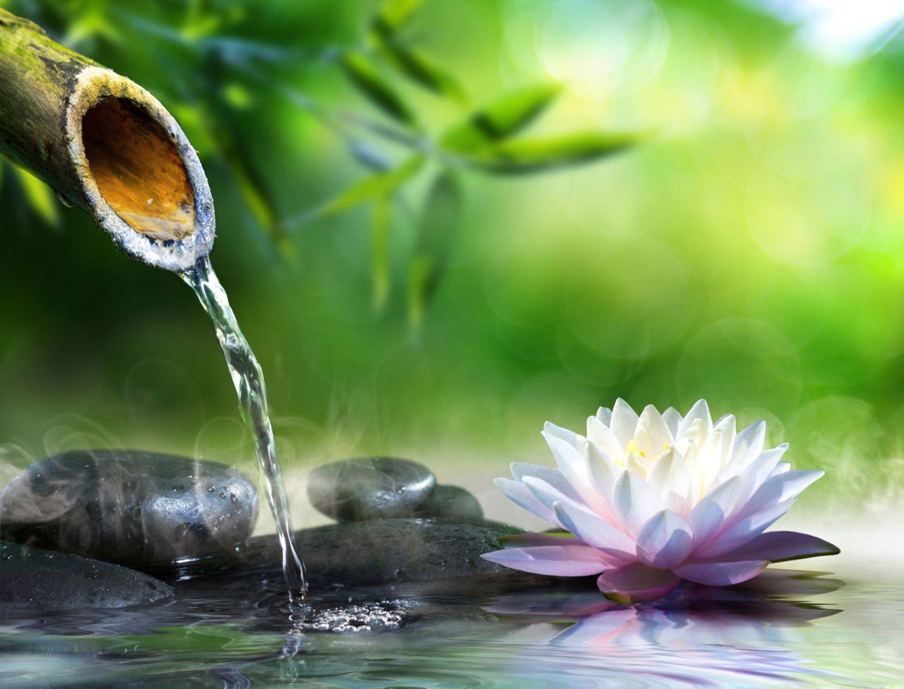 1280x976 Wallpaper and Picture: Popular Zen Image, Carlene Araiza