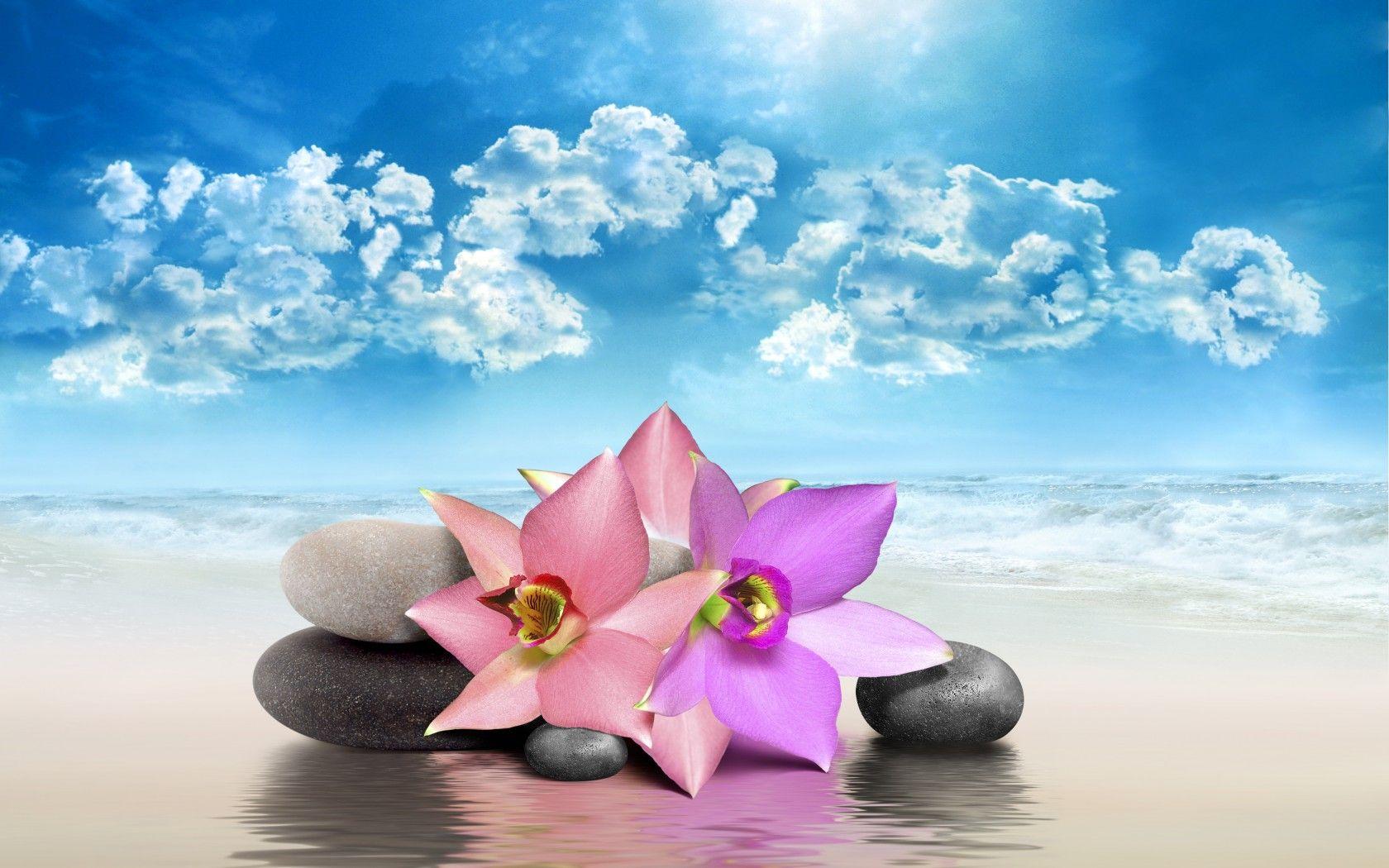 1680x1050 Zen Wallpaper, Picture, Image