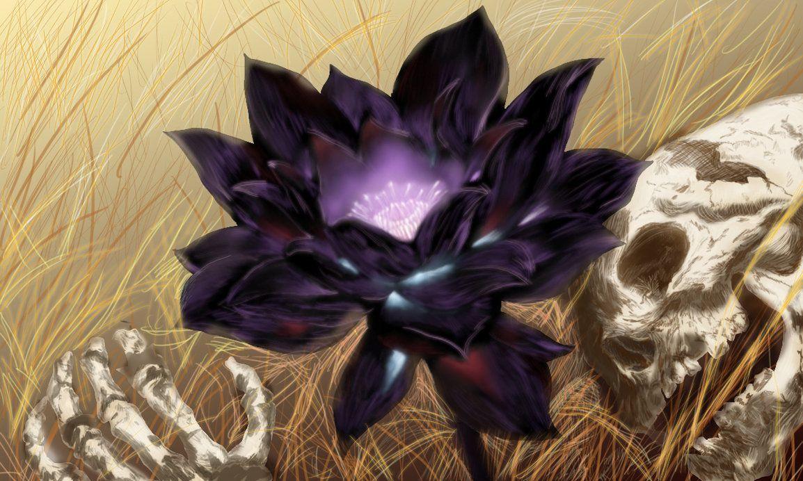 1154x692 Black Lotus Flower Wallpaper Full HD. Natures Wallpaper