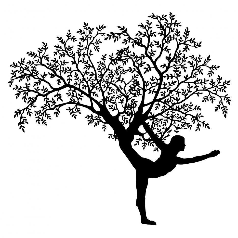 970x970 Get Free of yoga tree Online. Download Latest