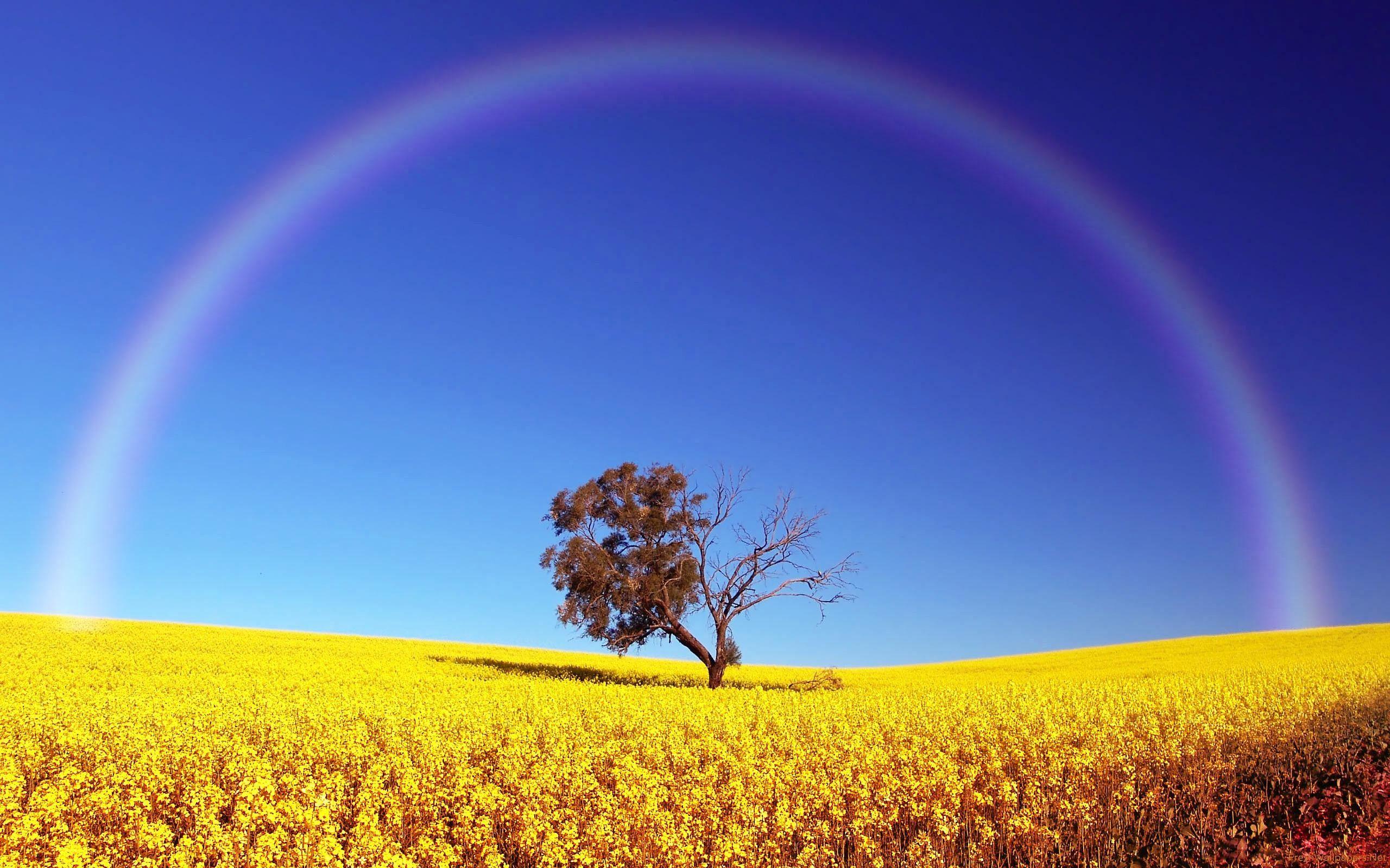 Natural Rainbow Wallpapers Top Free Natural Rainbow Backgrounds Wallpaperaccess