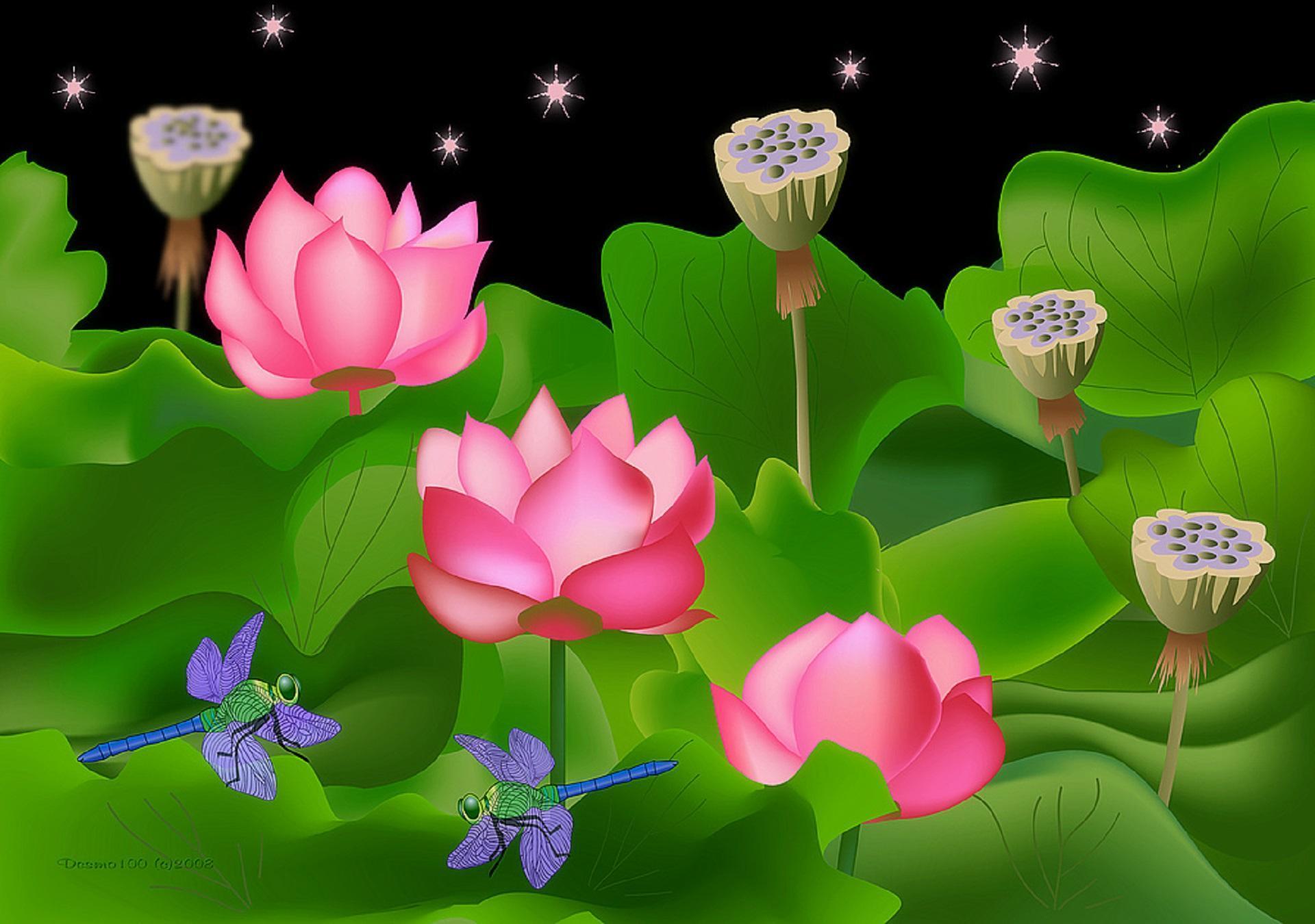 1920x1350 Pink Lotus Pond HD desktop wallpaper : Widescreen : High Definition