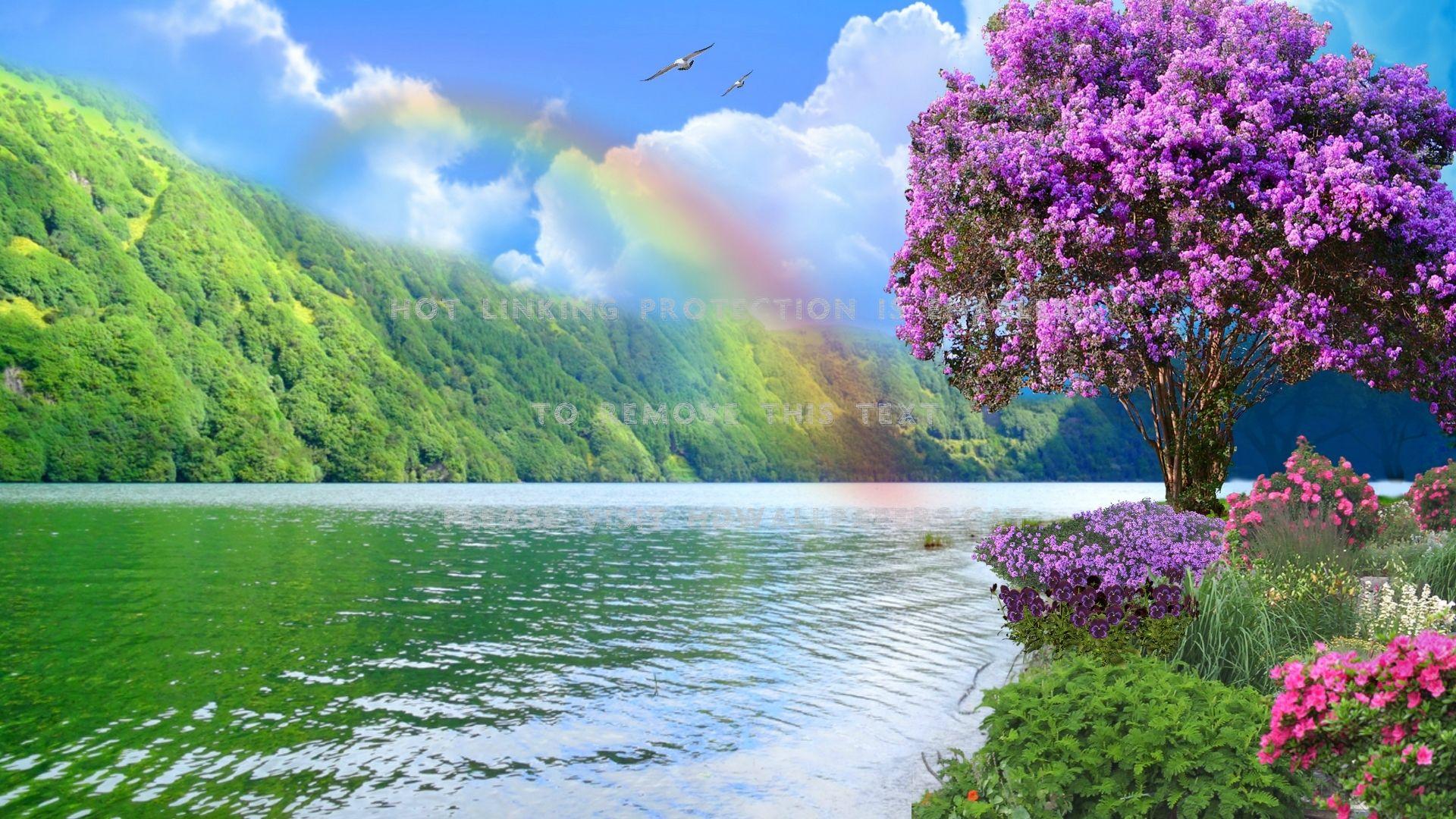 Natural Rainbow Wallpapers - Top Free Natural Rainbow Backgrounds