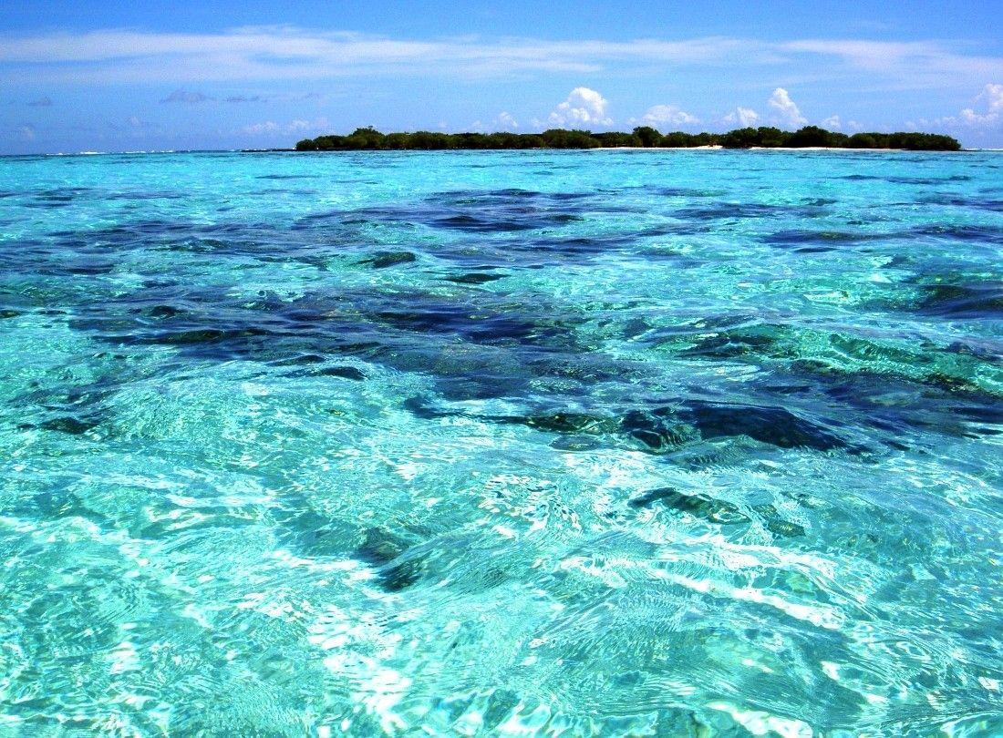 1100x810 Tahiti Tag wallpaper: Snorkelling Turquoise Sea Sand Polynesia Swim