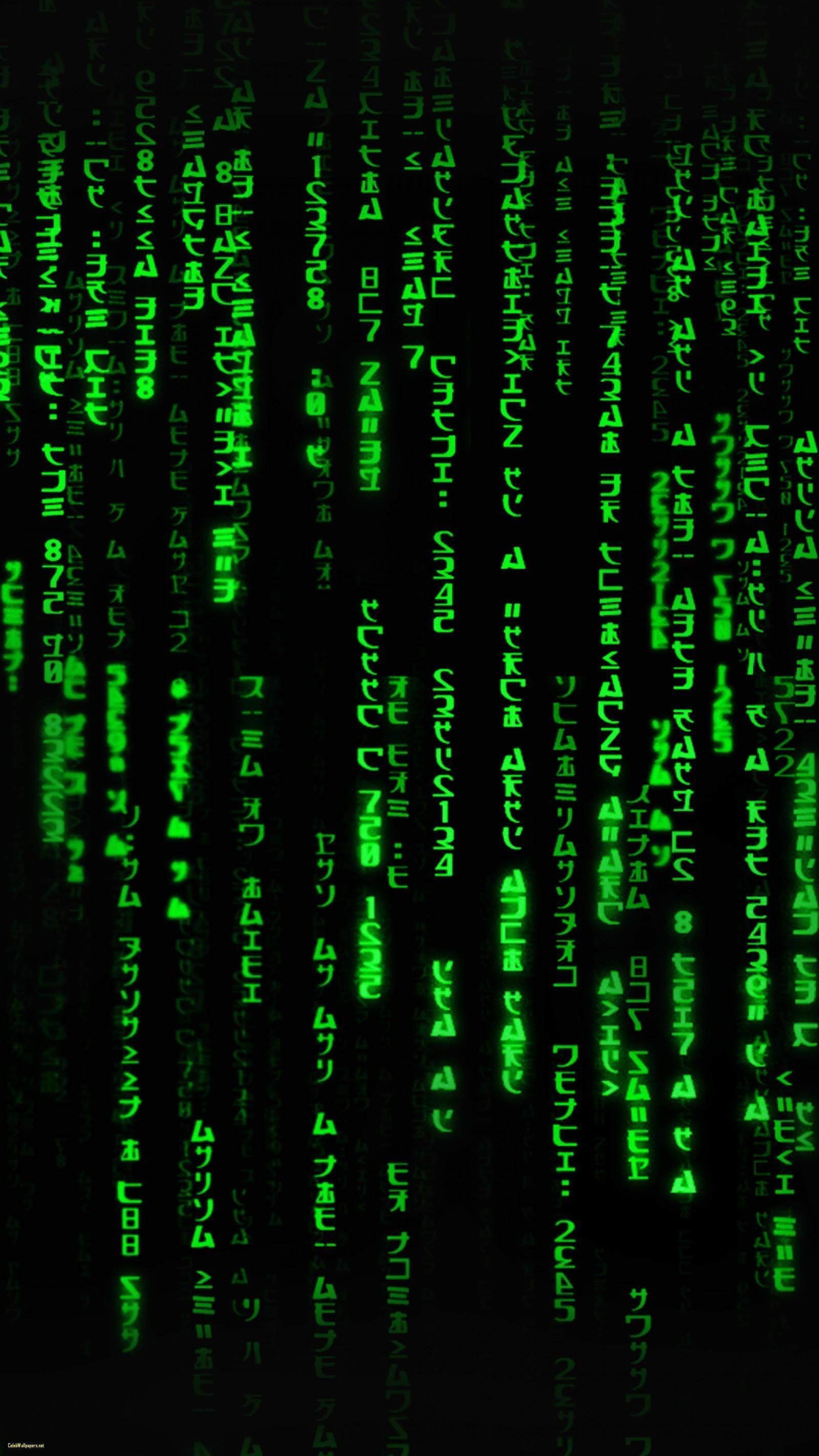 1600x2844 The matrix Wallpaper Download