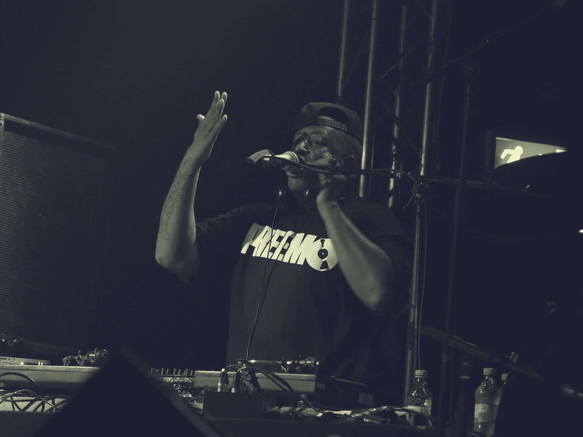 1920x1440 mic in front of a wild crowd Wallpaper