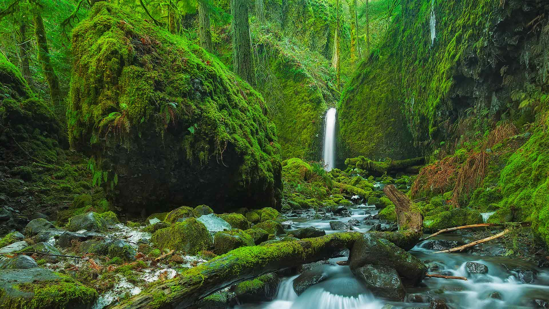 1920x1080 Bing image: Mossy Grotto Falls, Oregon Wallpaper Gallery