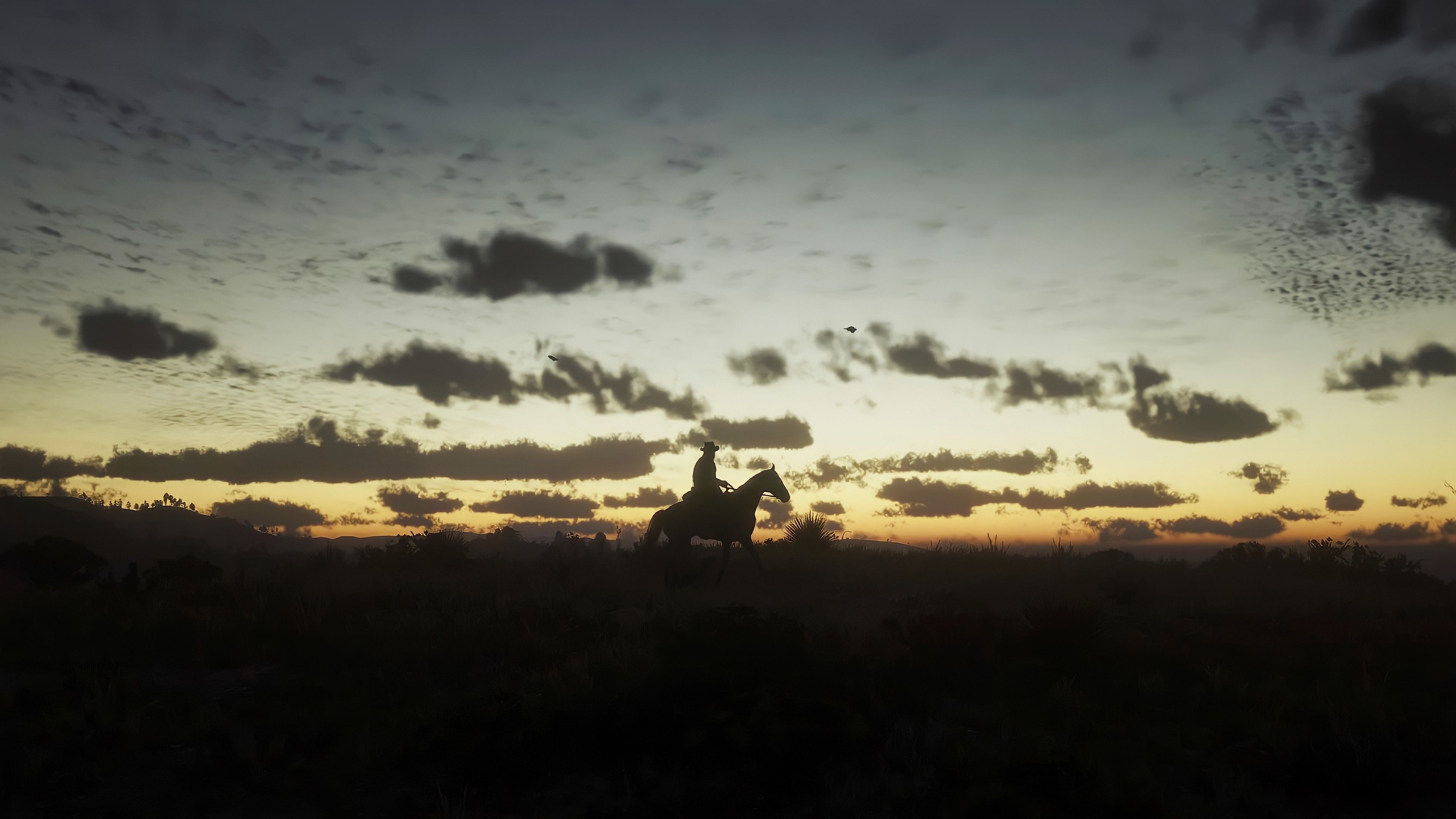 3840x2160 Red Dead Redemption 2 light
