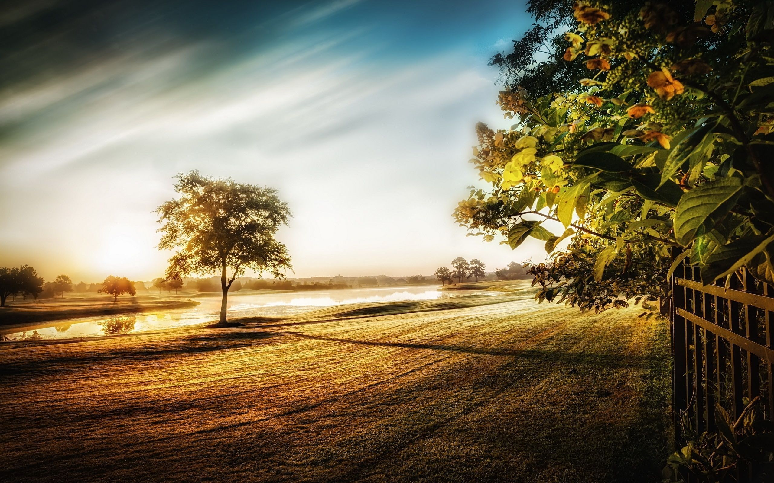 2560x1600 Wallpaper Morning light, trees, grass