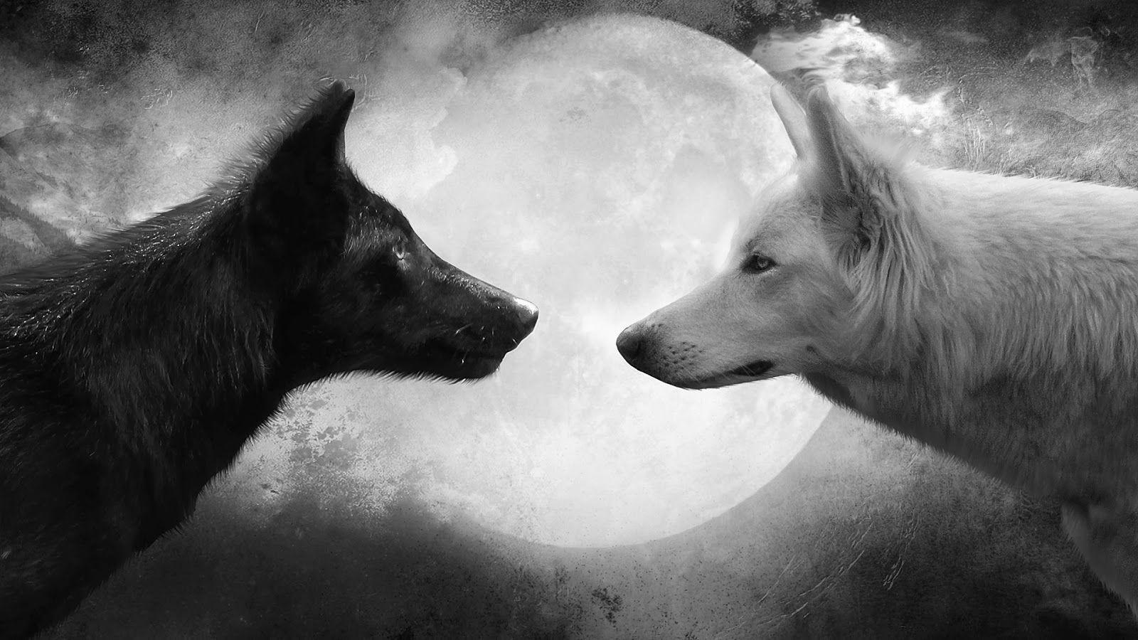 1600x900 The War & The Battles. Native american legends, Wolf and Tattoo