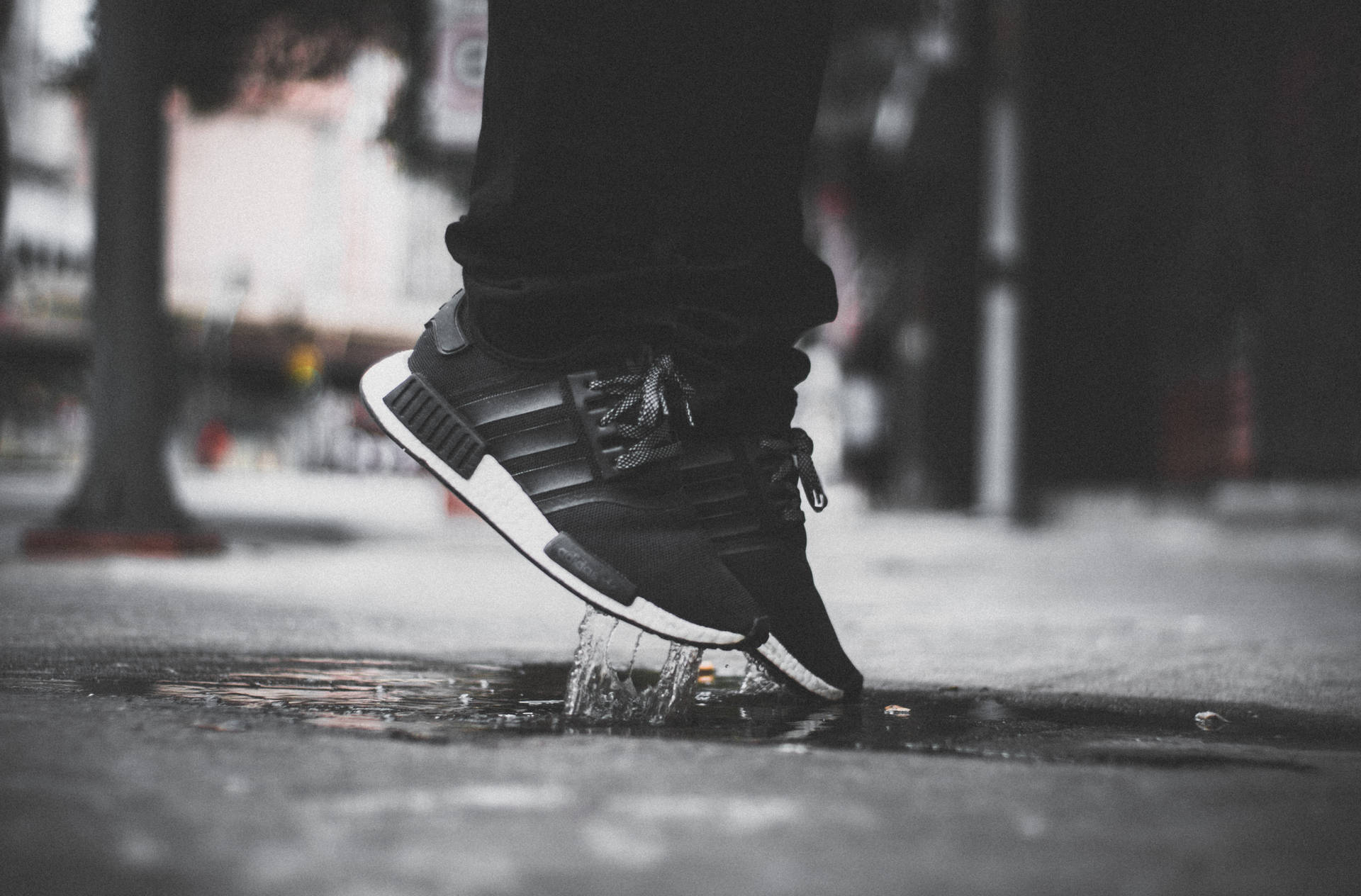 1920x1264 Adidas Wallpaper