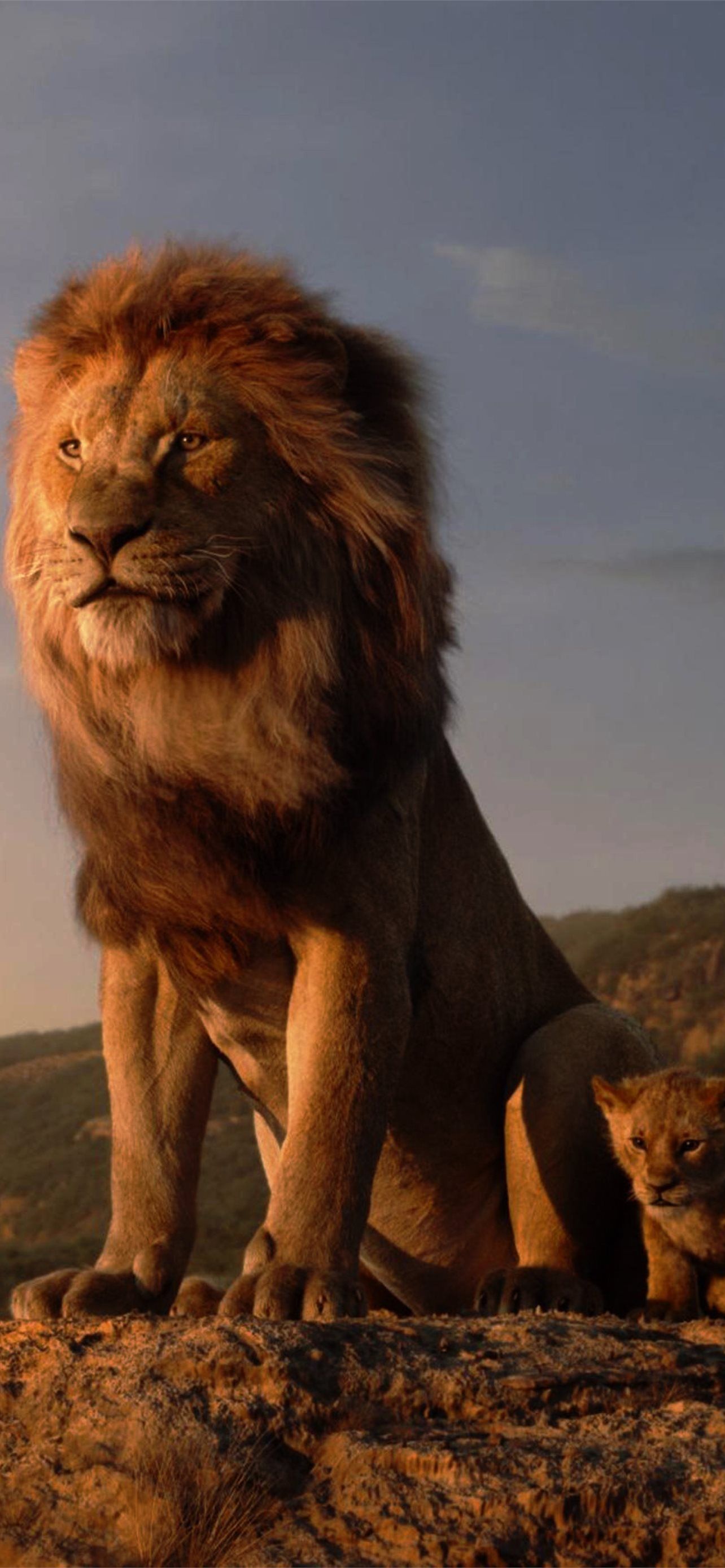 1284x2778 The Lion King Resolution HD Movies 4K Image Photo. iPhone Wallpaper Free Download