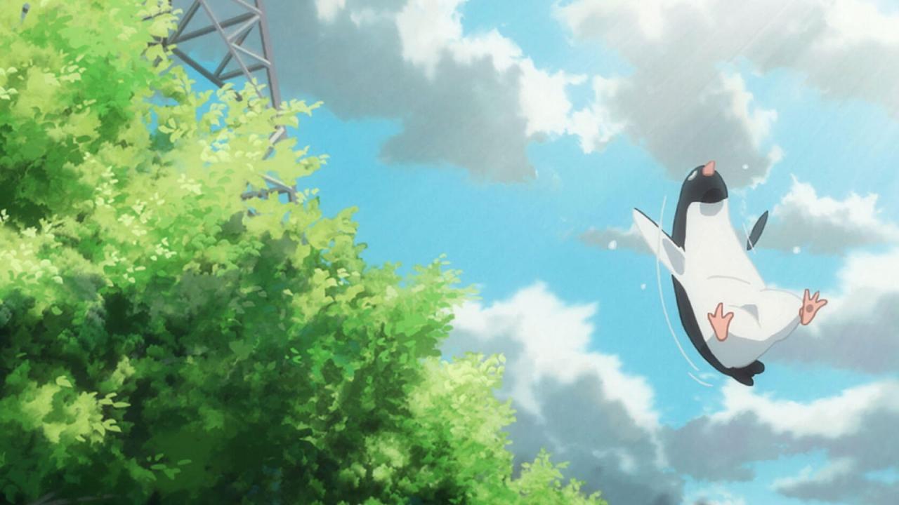 1280x720 Penguin Highway Pacific Screen