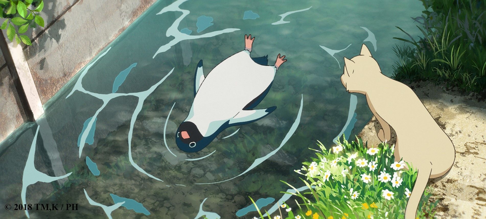 1902x857 Penguin Highway