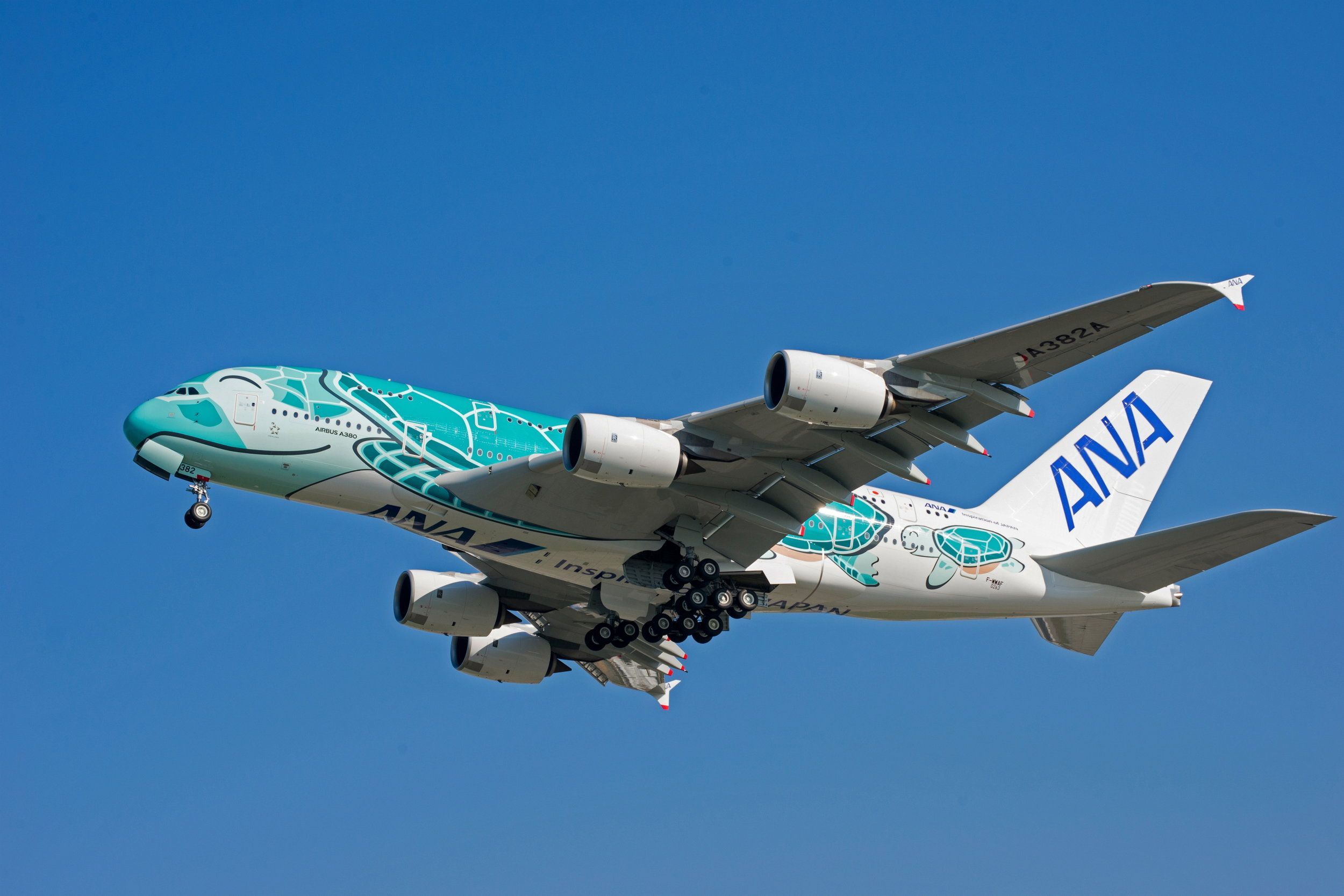 2500x1667 ANA gets second Flying Honu A380
