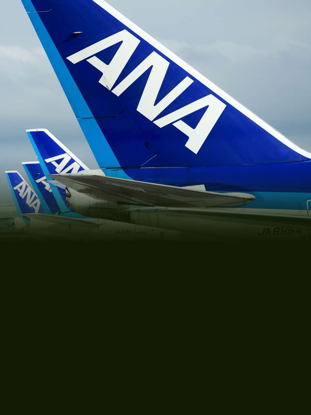 1024x1365 Japan's ANA Group Takes Flight with NFT