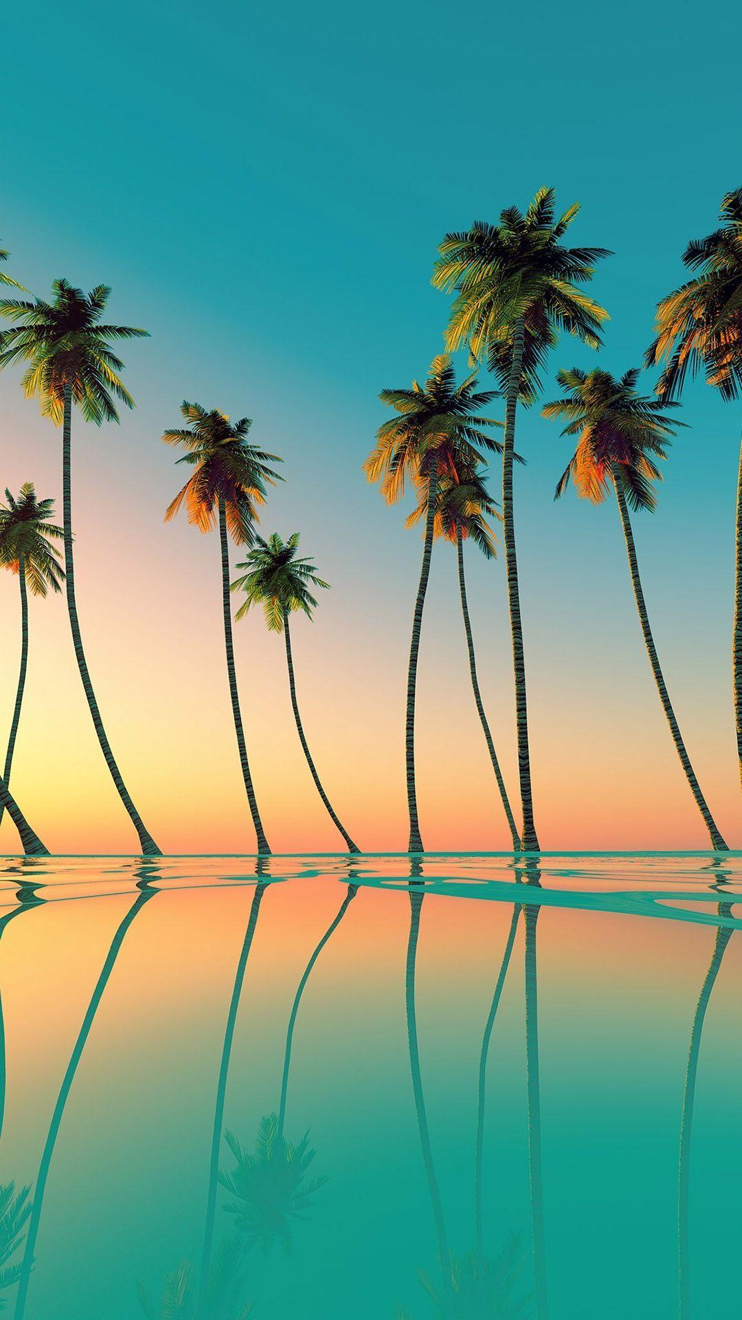 1080x1920 Palm Trees Wallpaper Tree Wallpaper iPhone, HD Wallpaper
