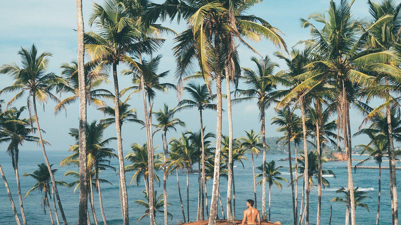 1366x768 desktop wallpaper. summer vacation man
