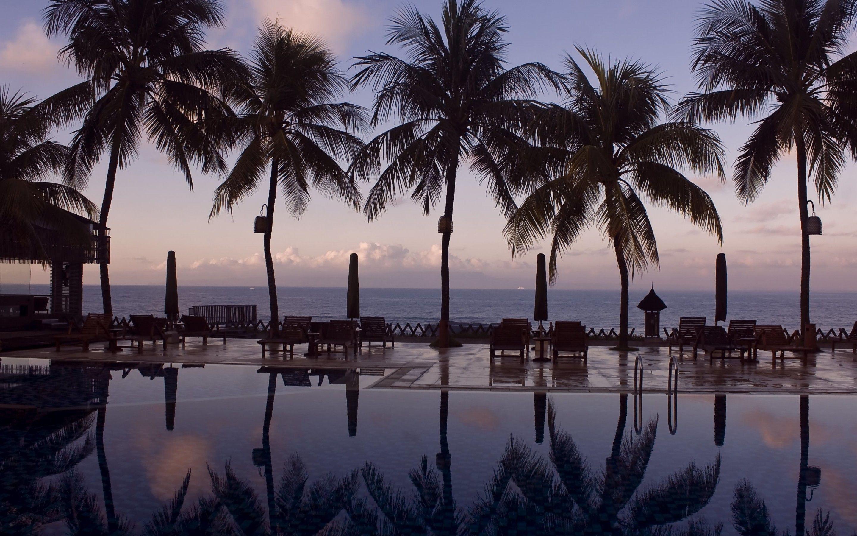 2880x1800 Palm Tree Desktop Wallpaper background picture