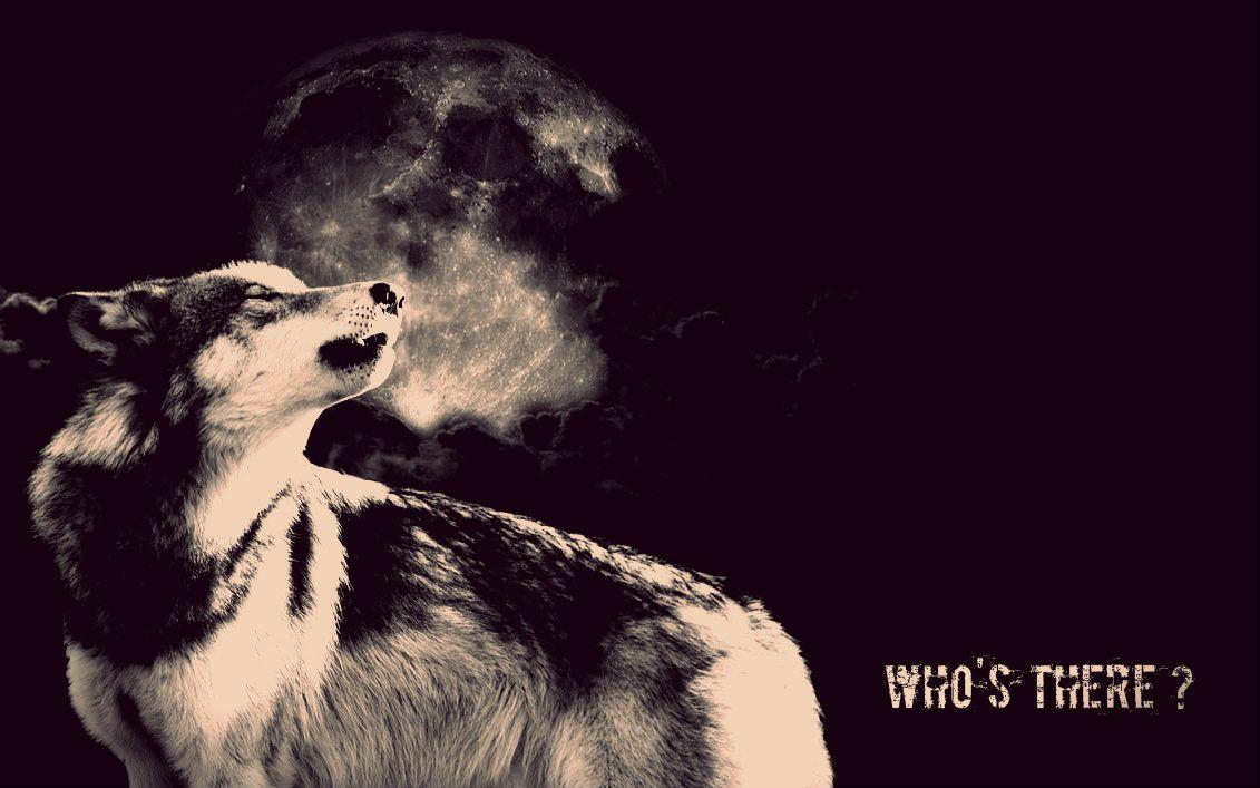 1131x707 Wolf Moon Wallpaper Gallery (67 Plus) PIC WPW5011425