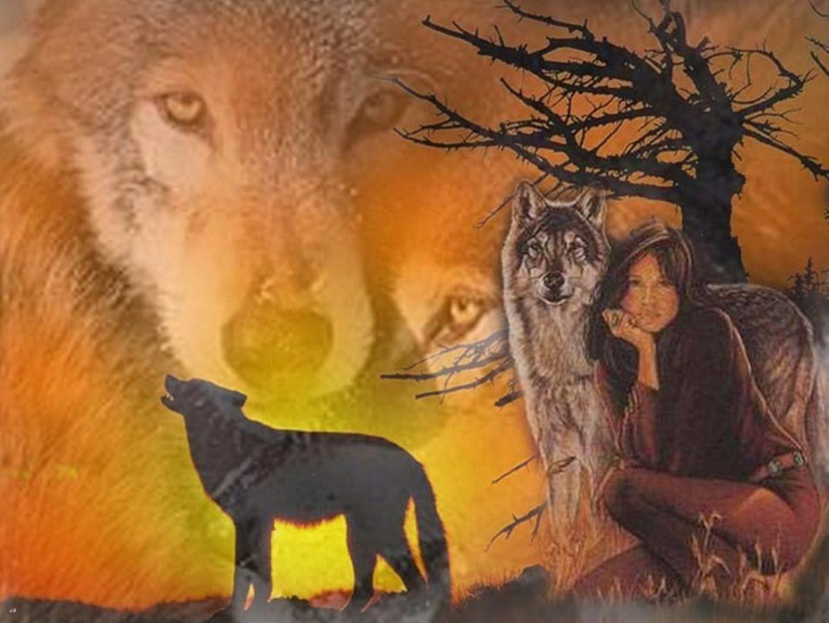 1196x900 Dogs Native American Wolf Lady Tree Spirit Dog Wallpaper For Your