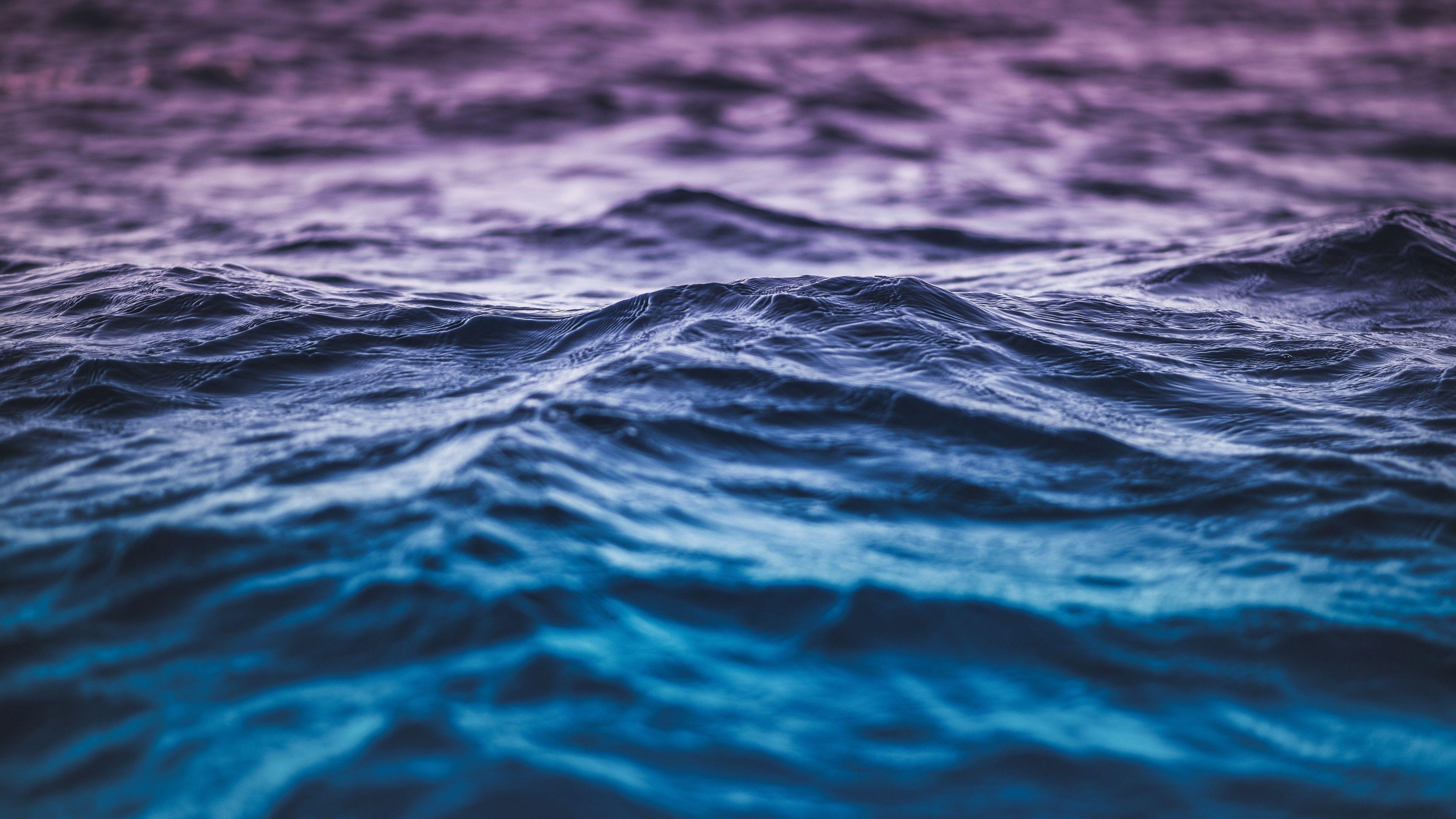 3840x2160 Blue and purple gradient waves Wallpaper 4k Ultra HD