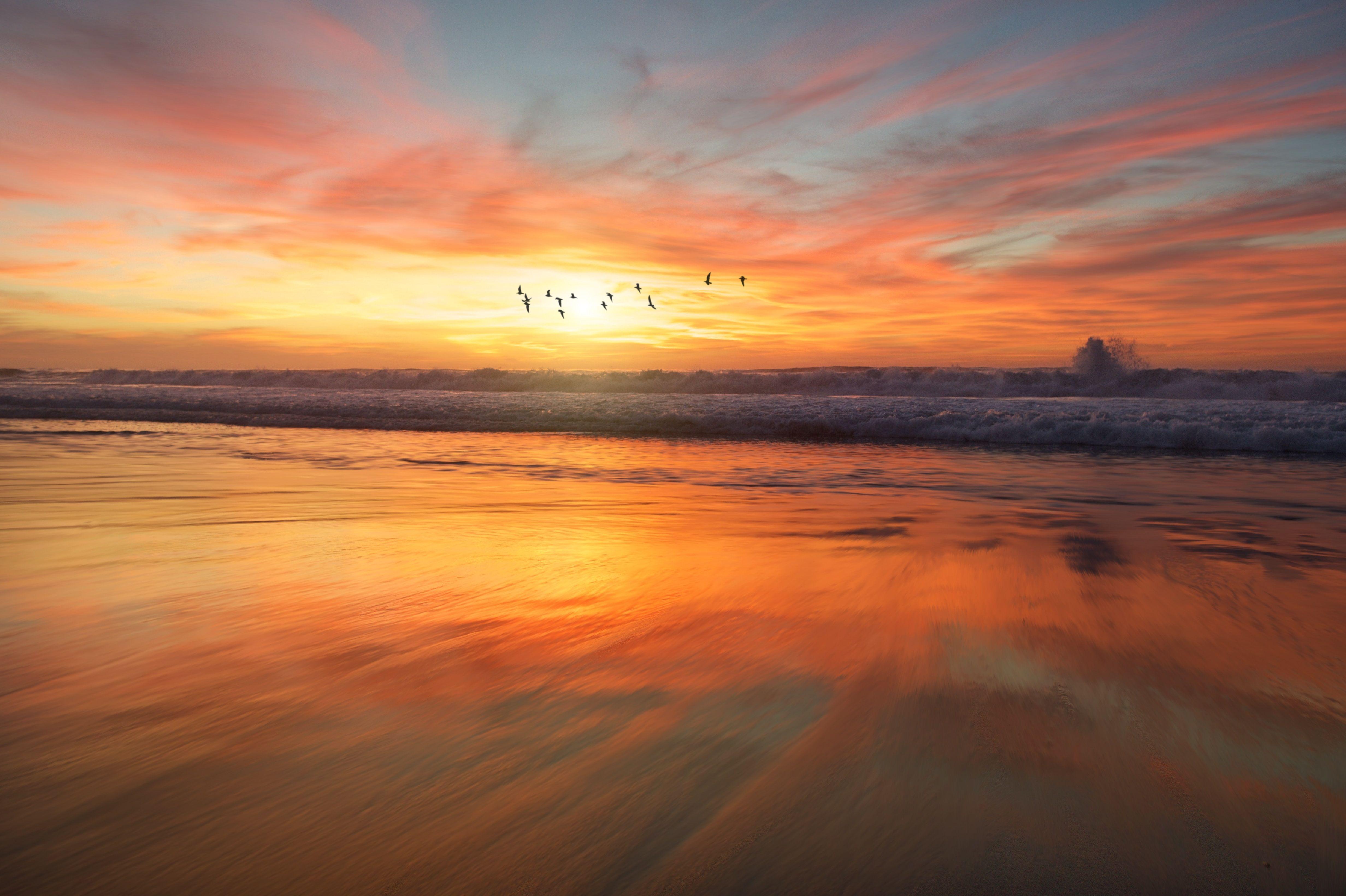 4928x3280 Mặt trời mọc trên bãi biển San Diego Tín dụng ảnh cho Frank McKenna https://wallpaperaccess.com/full/1194230.jpg