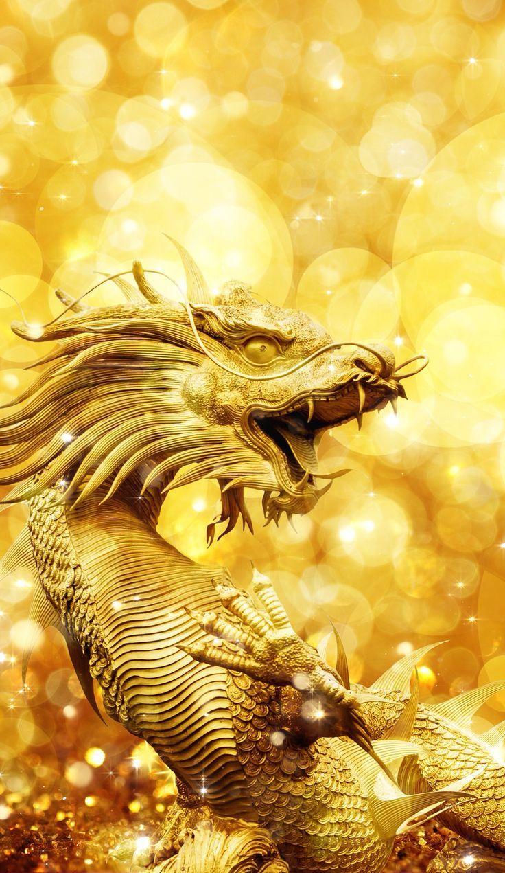 736x1271 Golden Dragon Wallpaper Wallpaper Collections