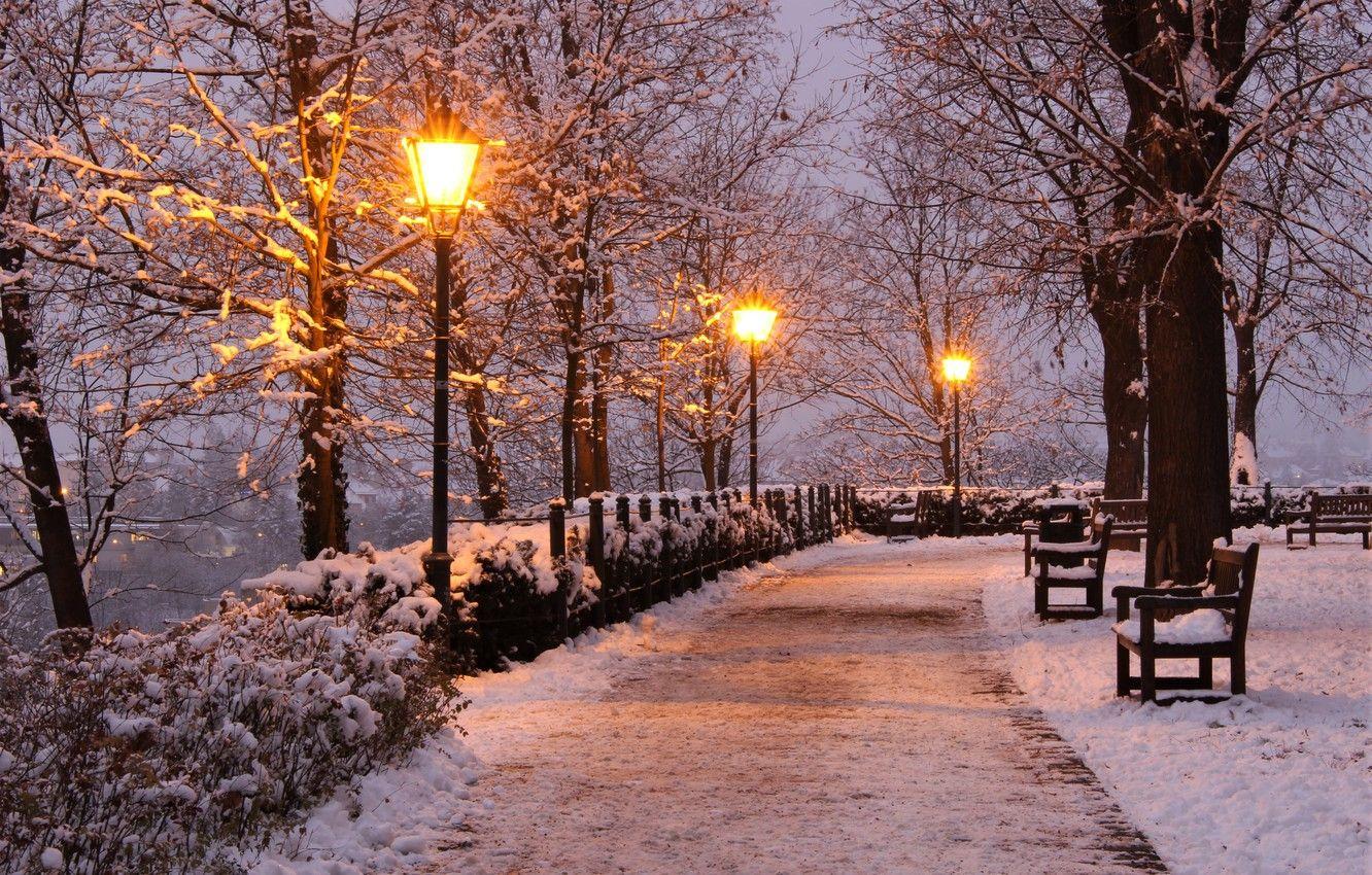 1332x850 Wallpaper winter, snow, trees, lights, Park, the evening