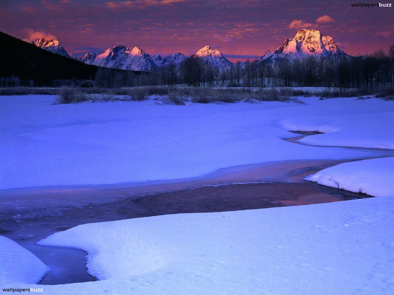 1600x1200 Winter Evening Wallpaper