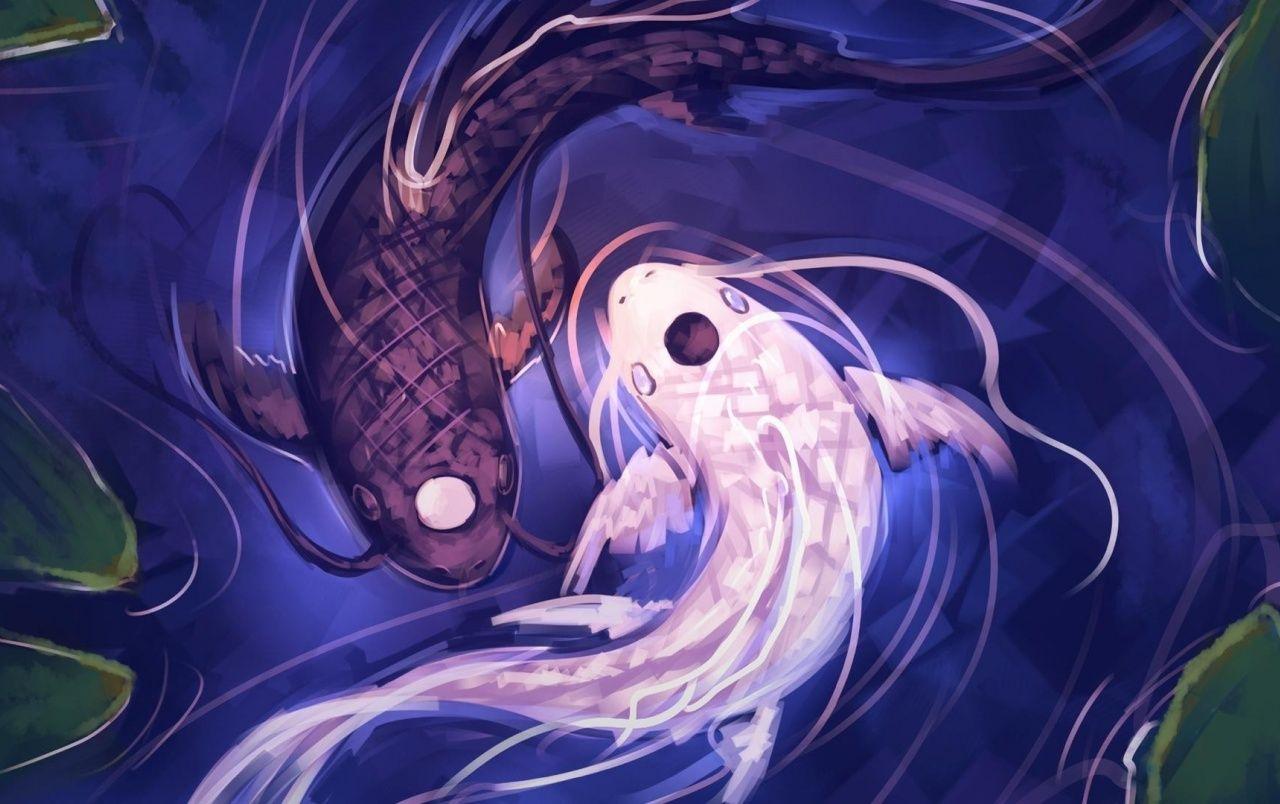 1280x804 Koi Ying Yang wallpaper. Koi Ying Yang