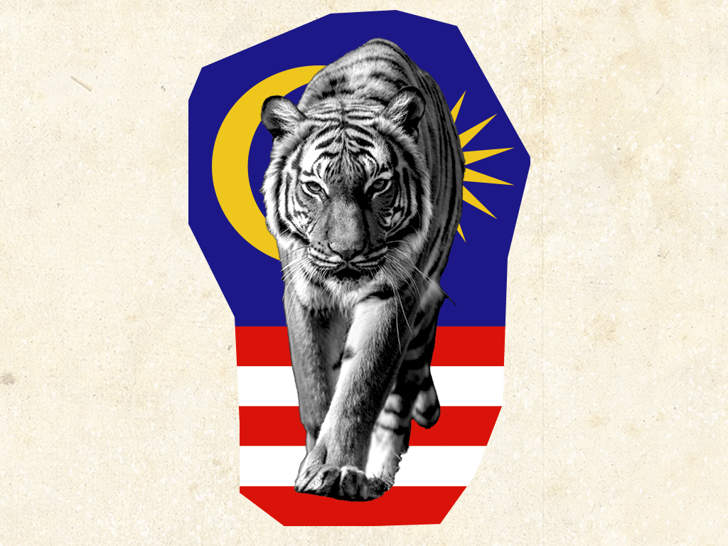 1024x768 Malaysia: Malayan tiger