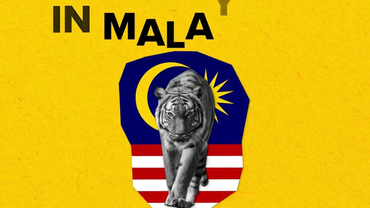 1280x720 The Malayan Tiger's Symbol