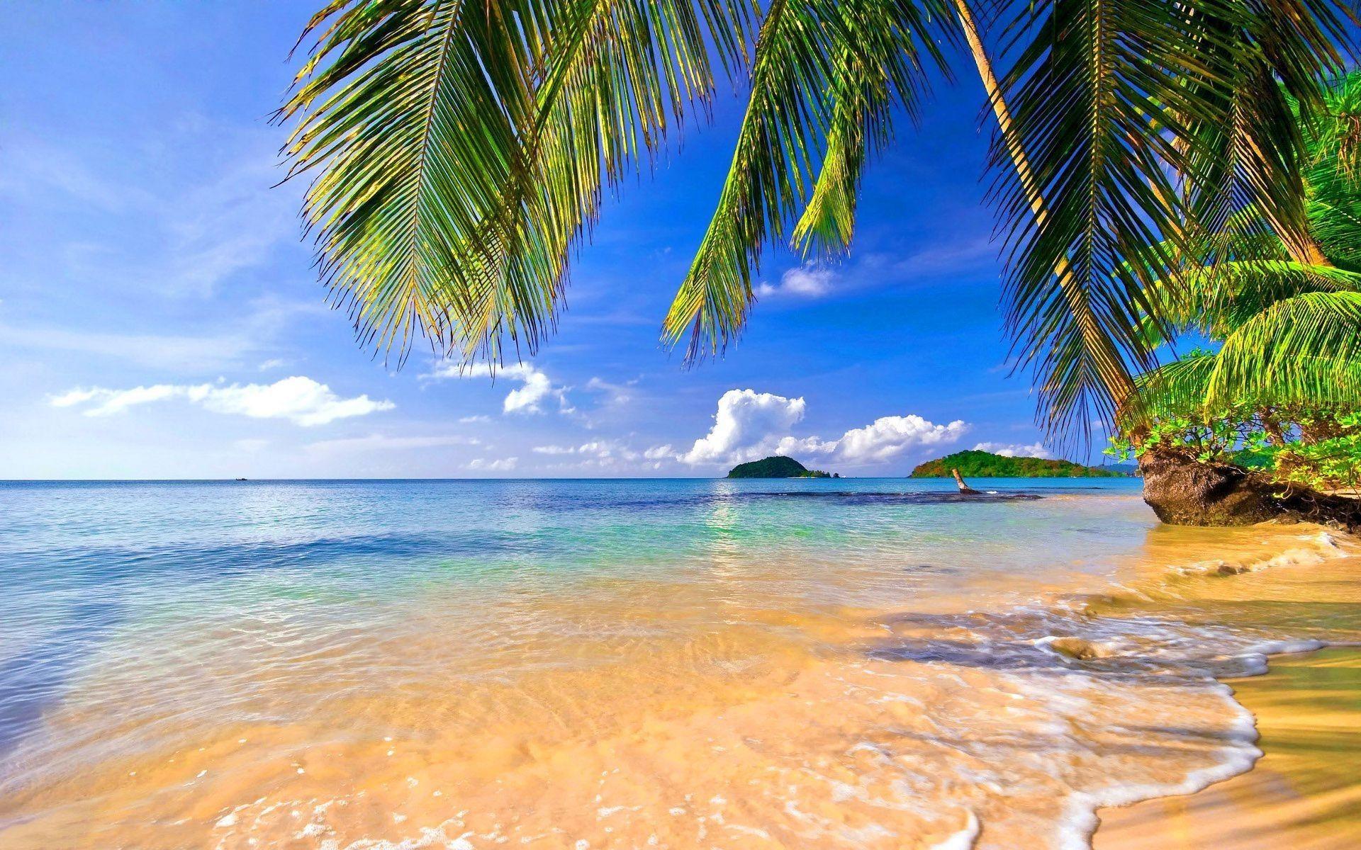 1920x1200 Tropical Beach HD Wallpaper