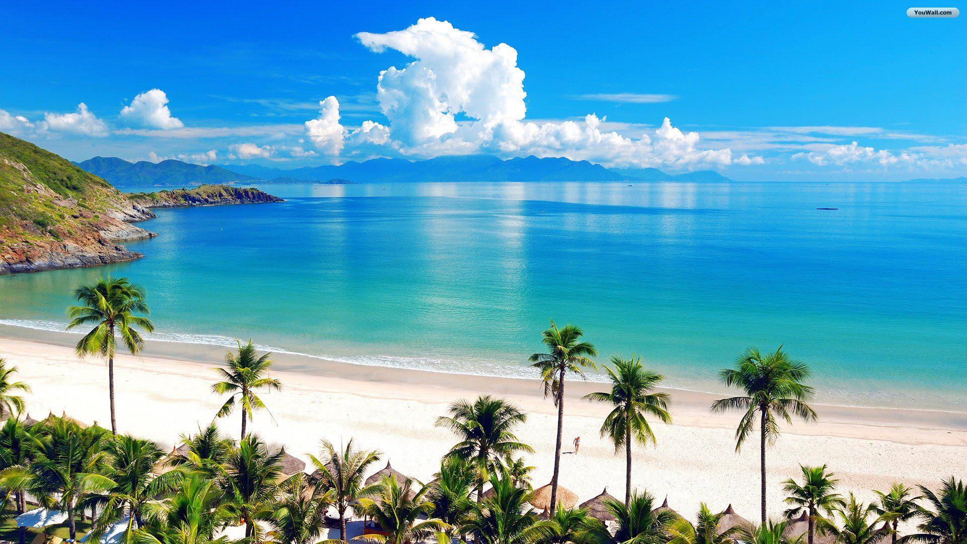 1920x1080 Tropical computer wallpaper Gallery