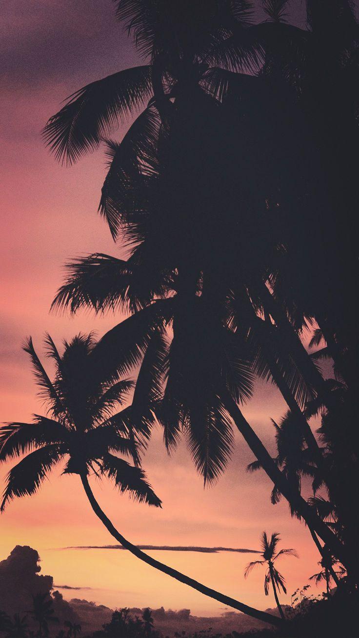 736x1308 Summer Sunset iPhone Wallpaper To Kill That Winter Depression