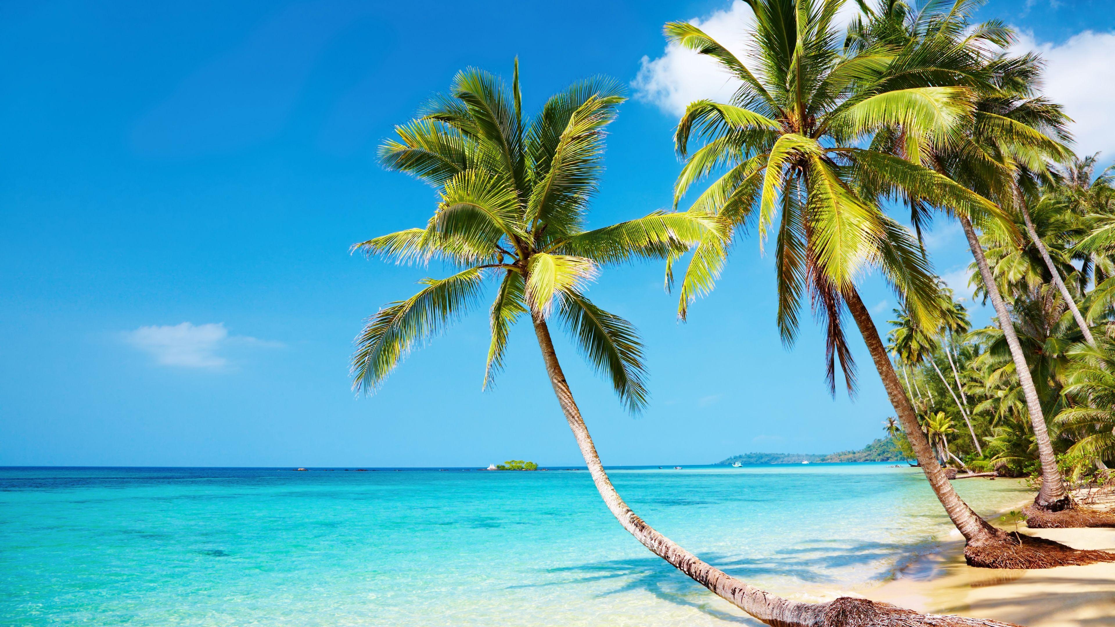 4K Ultra HD Beach Wallpapers Top Free 4K Ultra HD Beach Backgrounds 4K Ultra HD Beach Wallpapers Top Free 4K Ultra HD Beach Backgrounds